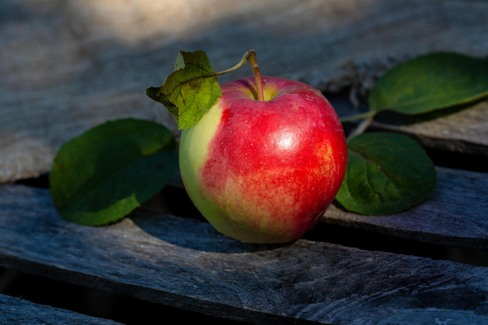Бесплатное фото Красное яблоко