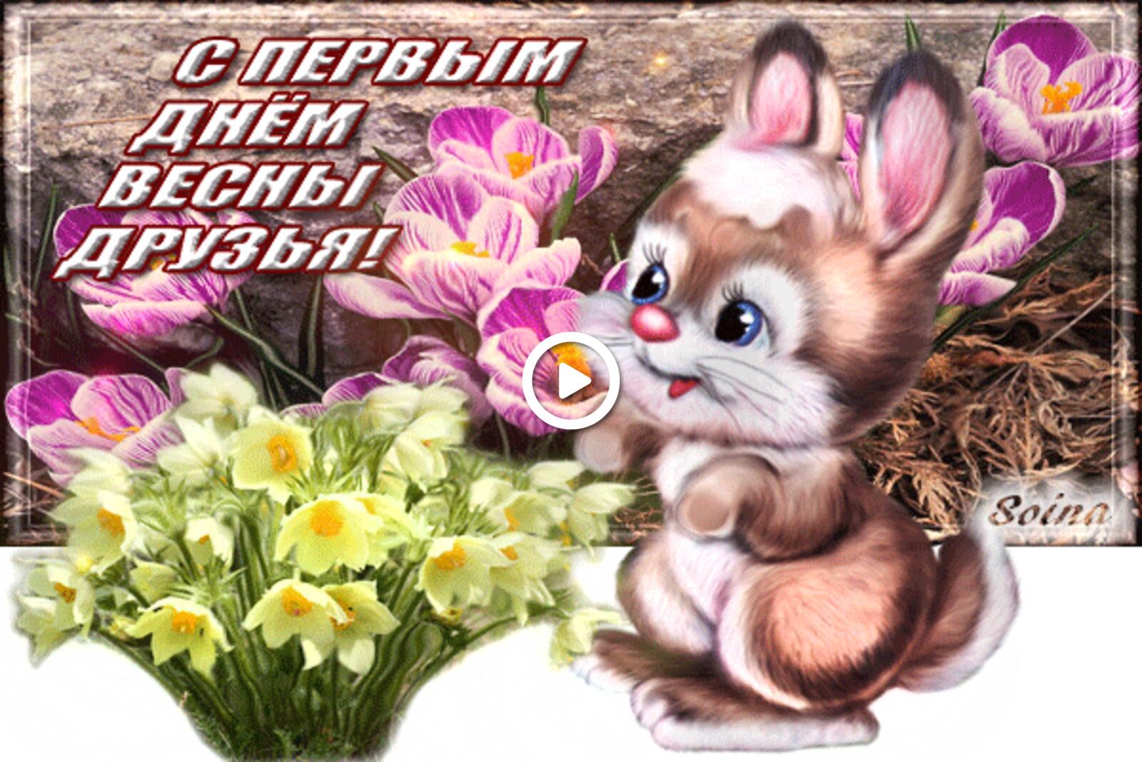 3d gallery postcards flowers hare