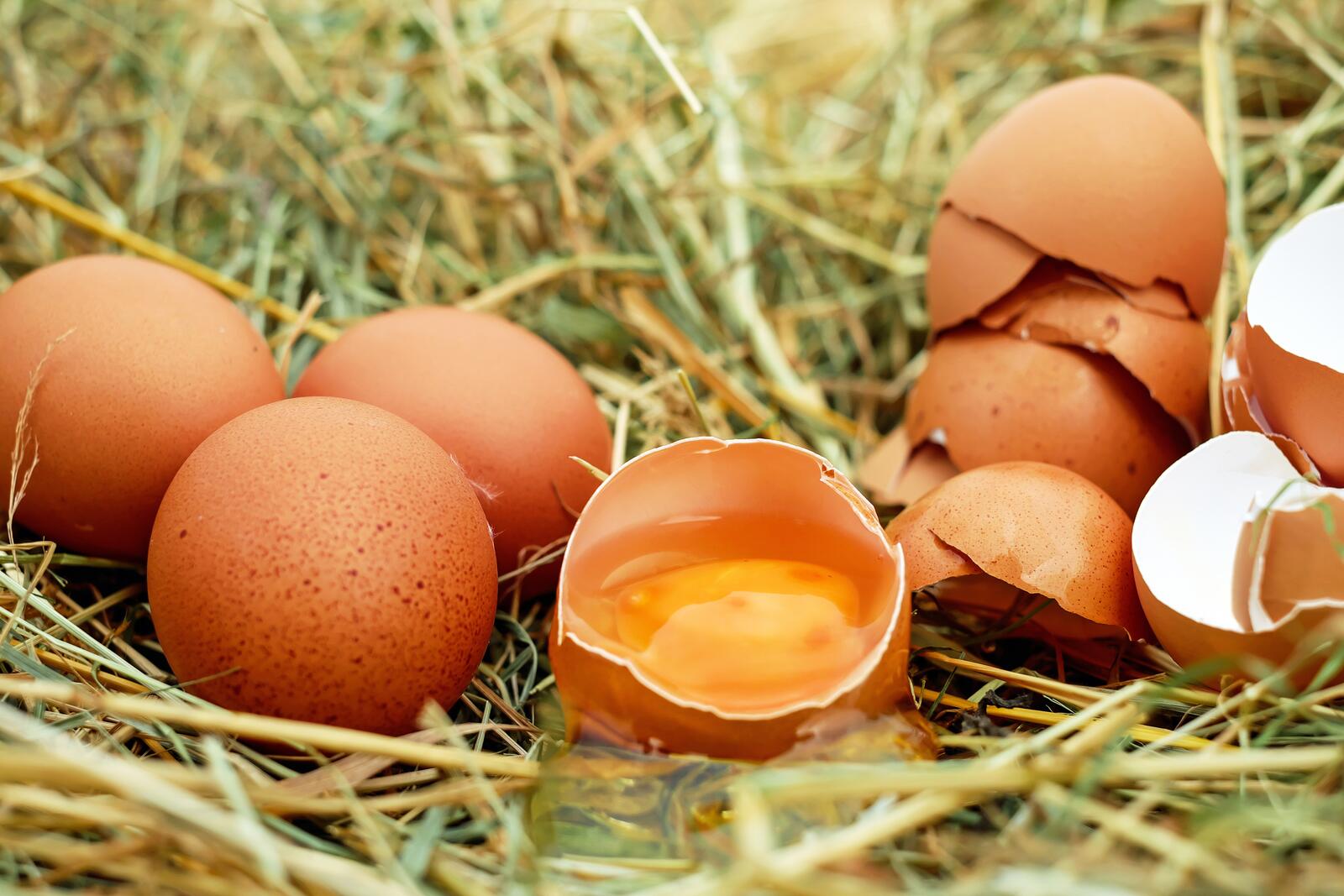 Обои еда сырые яйца яичная скорлупа на рабочий стол