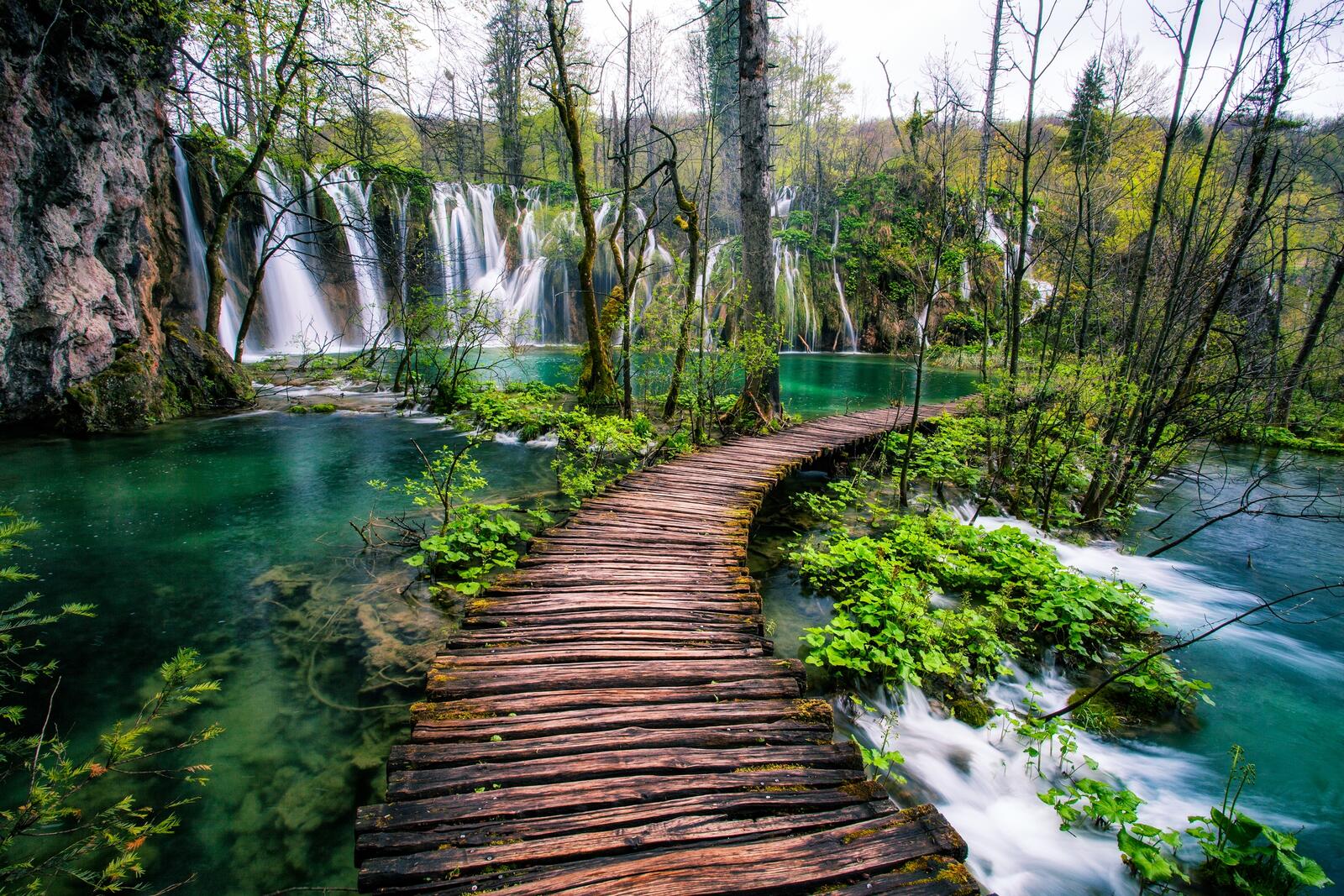Wallpapers landscapes Plitvice lakes national park trees on the desktop