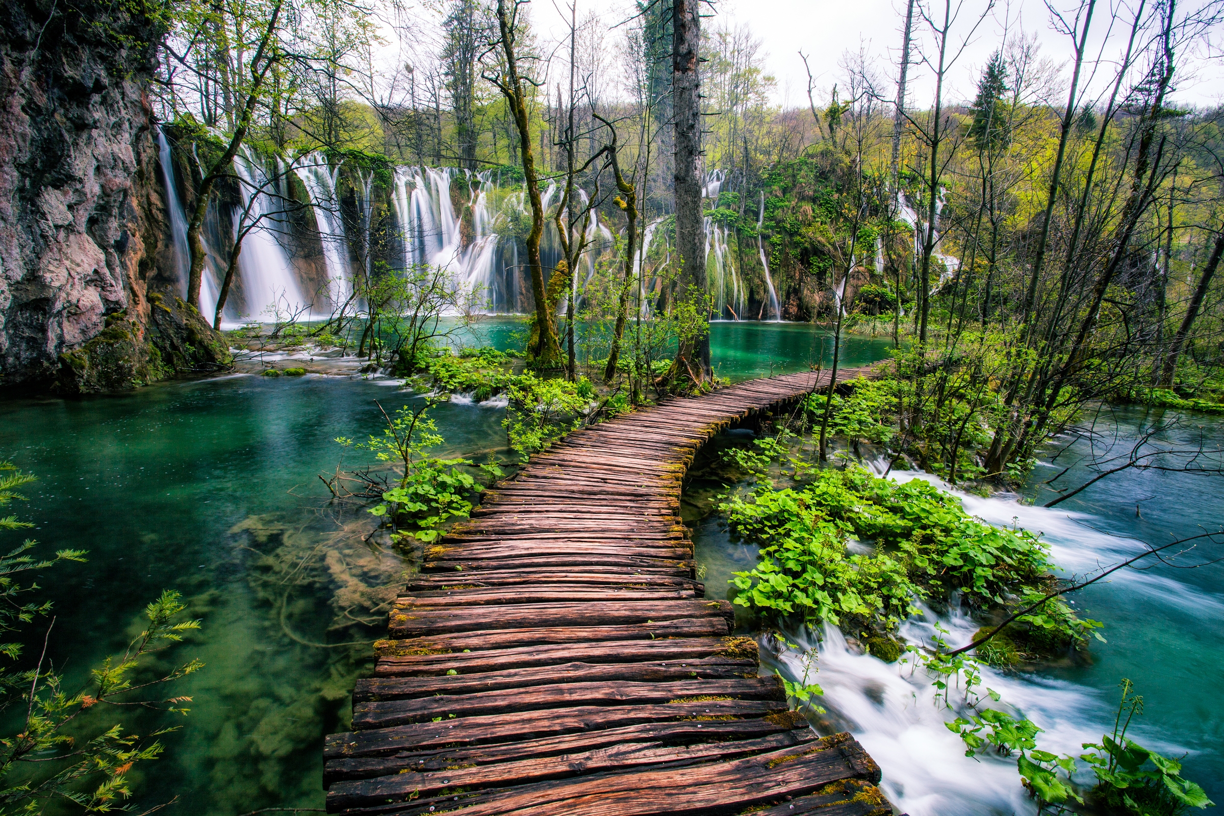 Wallpapers landscapes Plitvice lakes national park trees on the desktop