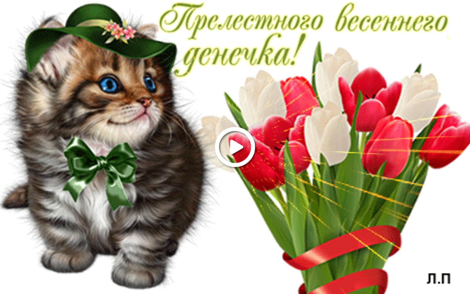 一张以喜欢 春季贺卡动画 小猫为主题的明信片