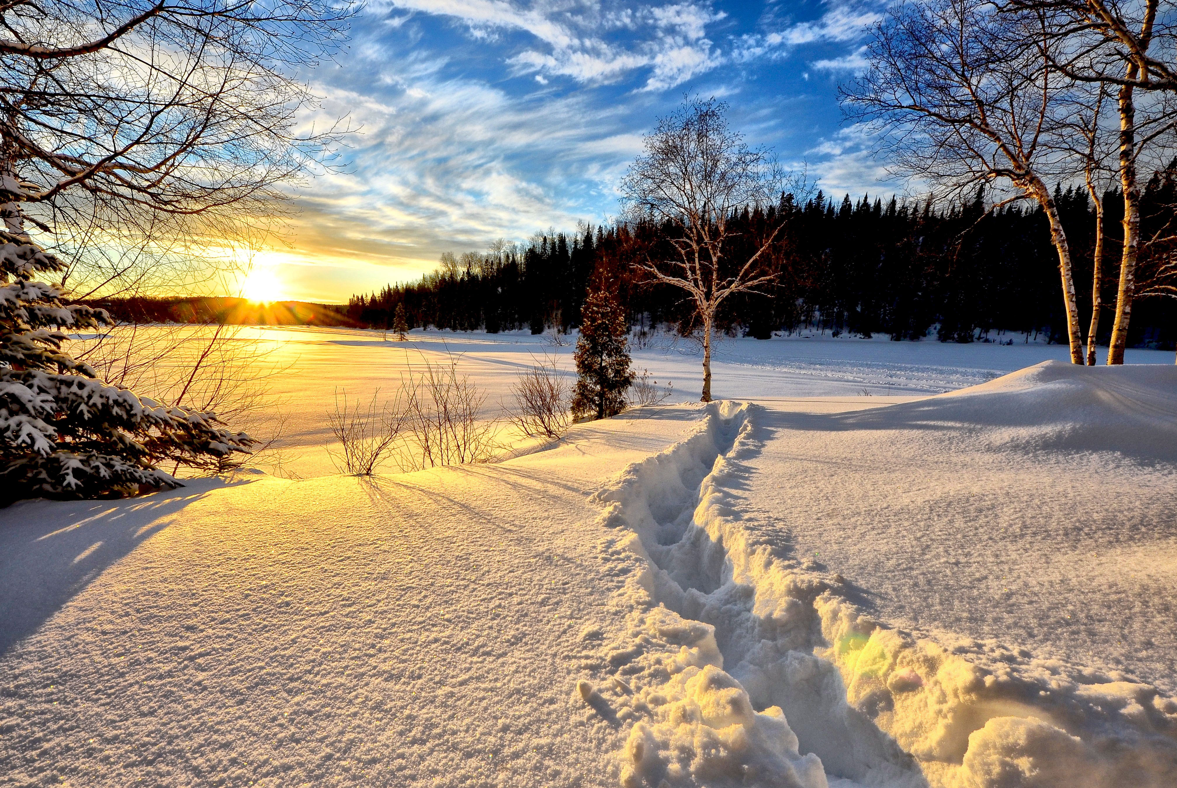 Бесплатное фото зимний пейзаж