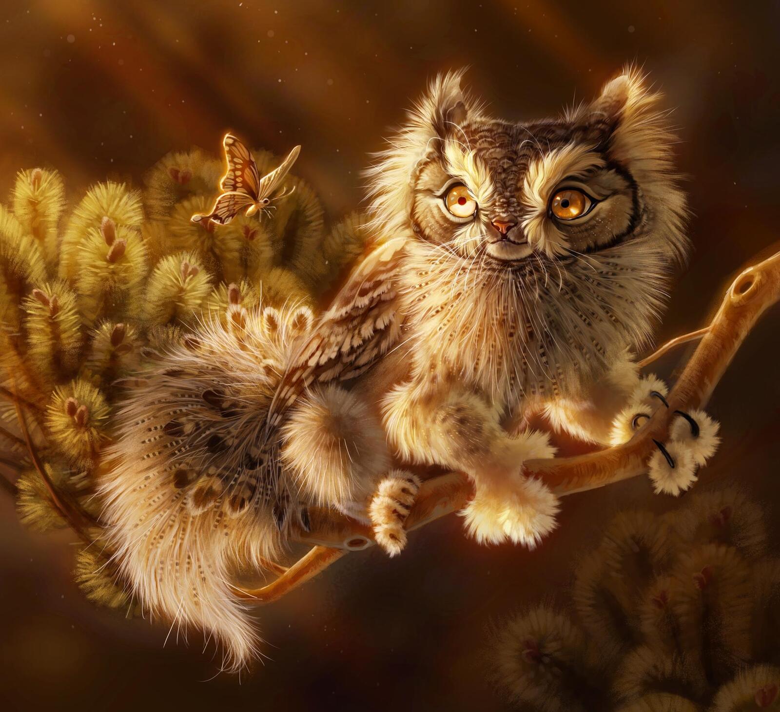 Wallpapers mythical creature owl fantastic animal drawing on the desktop