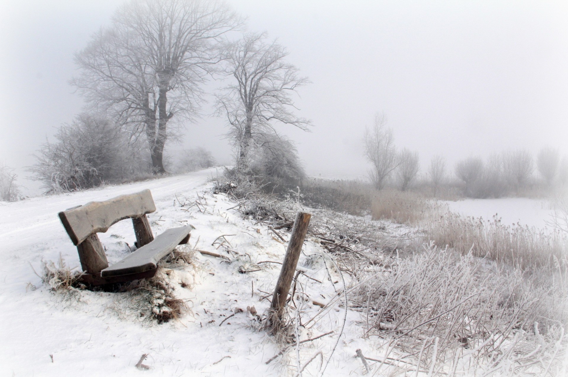 Фото бесплатно пейзаж, снег, сезоны