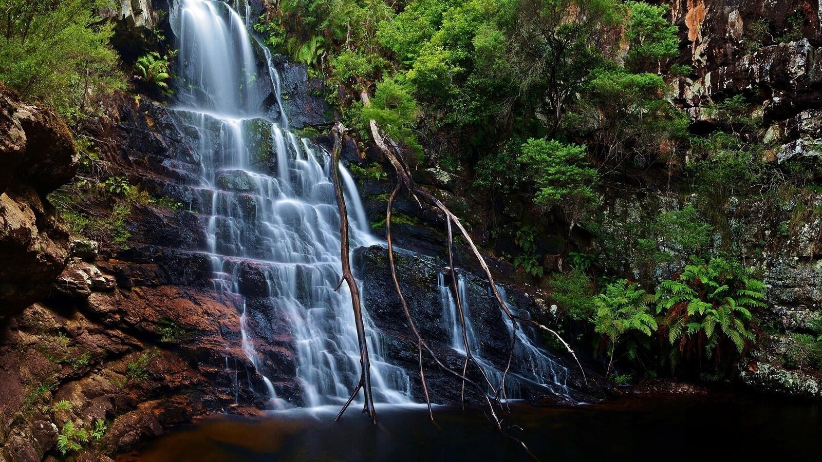 Бесплатное фото Мелкий водопад в лесу по скале