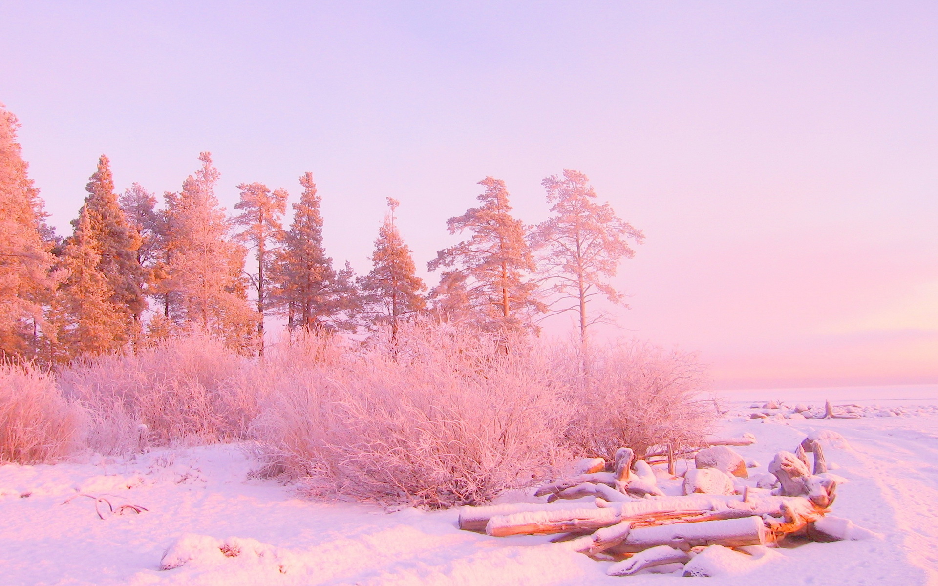 Wallpapers snow sunrise frost on the desktop