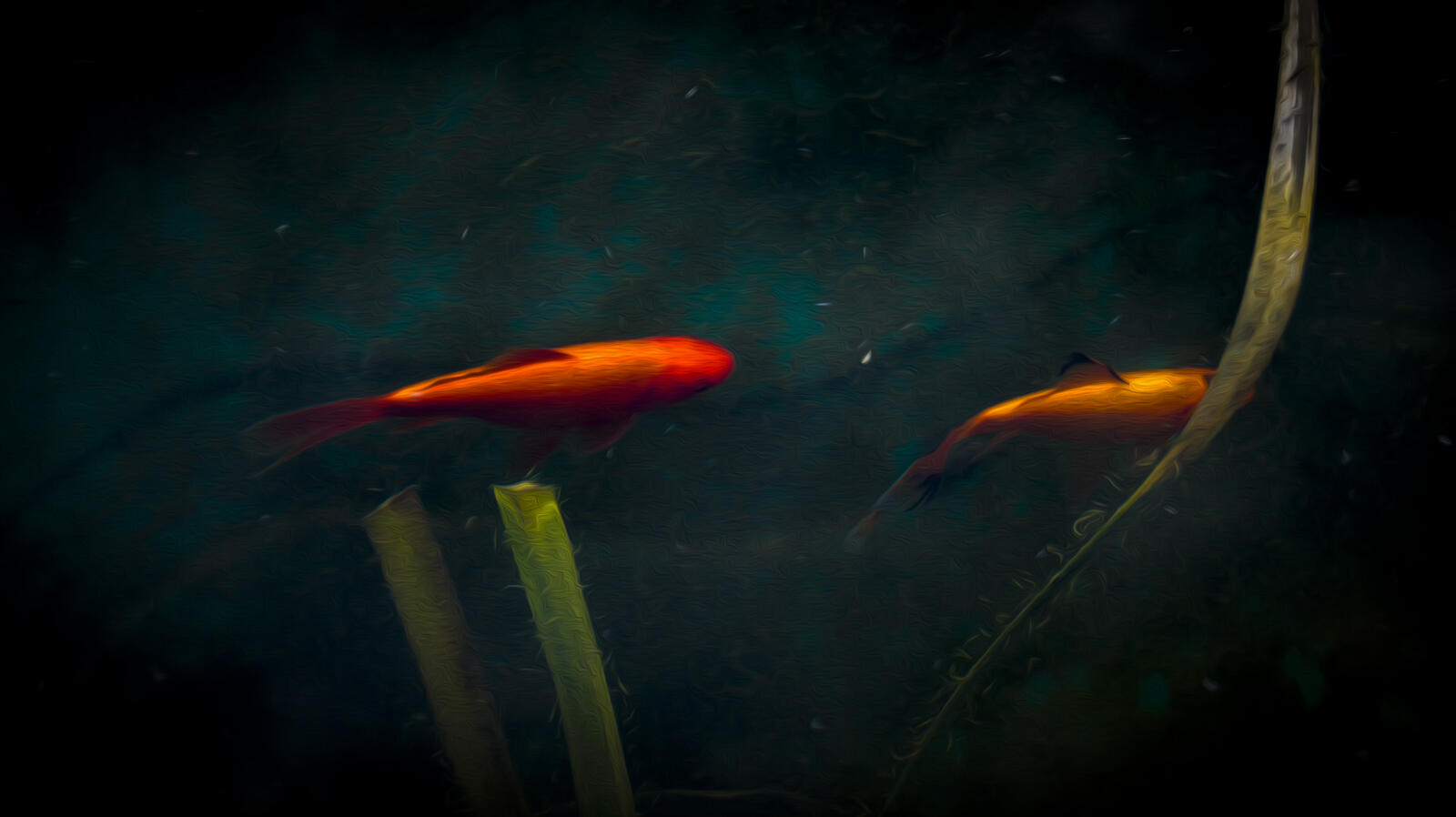 Бесплатное фото Прудовые золотые рыбки.Пруд в саду