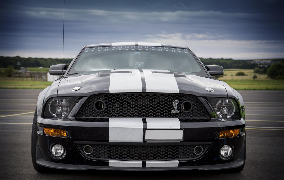 Ford Mustang Shelby with white stripes on the hood.