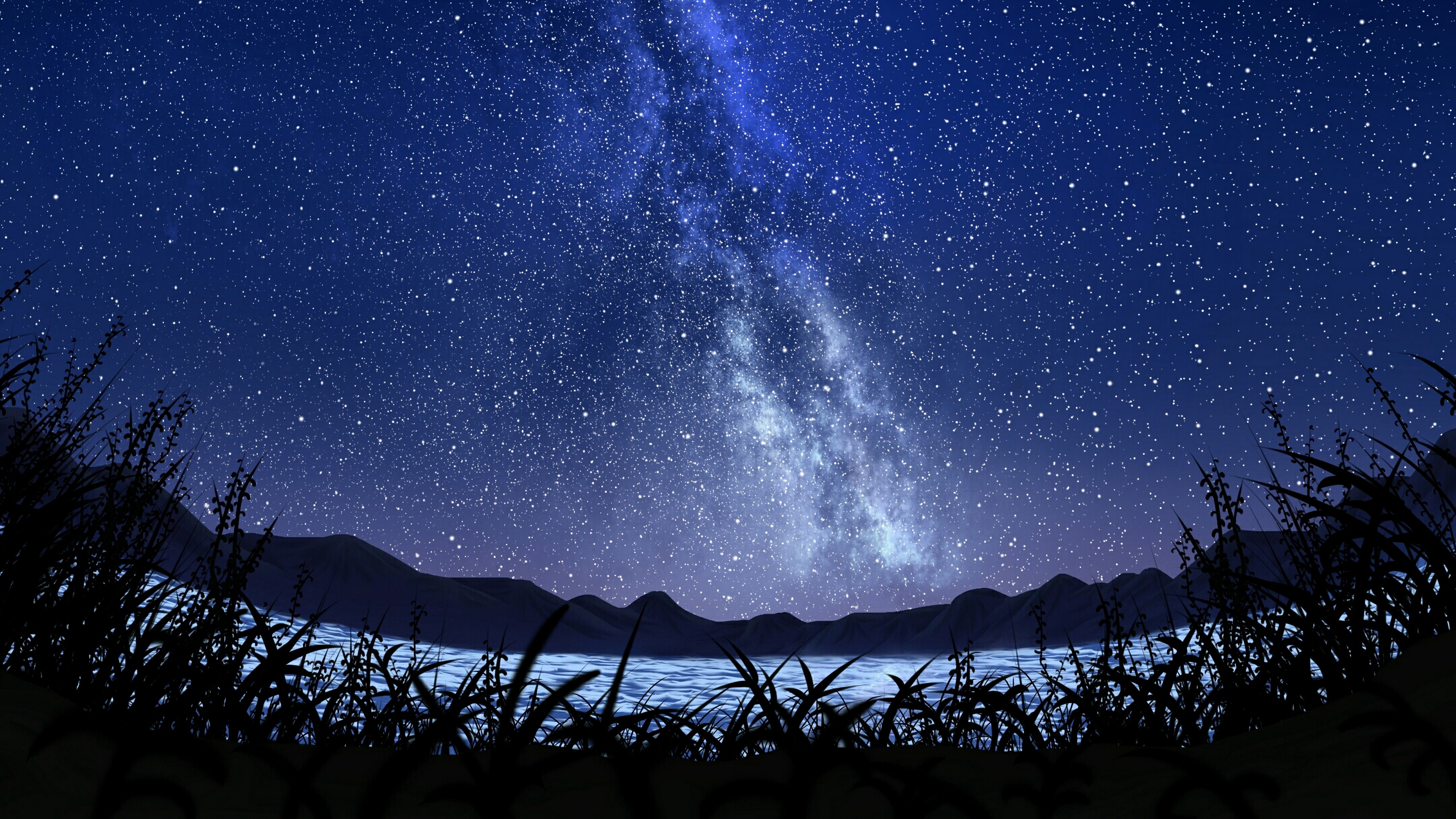 Wallpapers starry sky night plants on the desktop