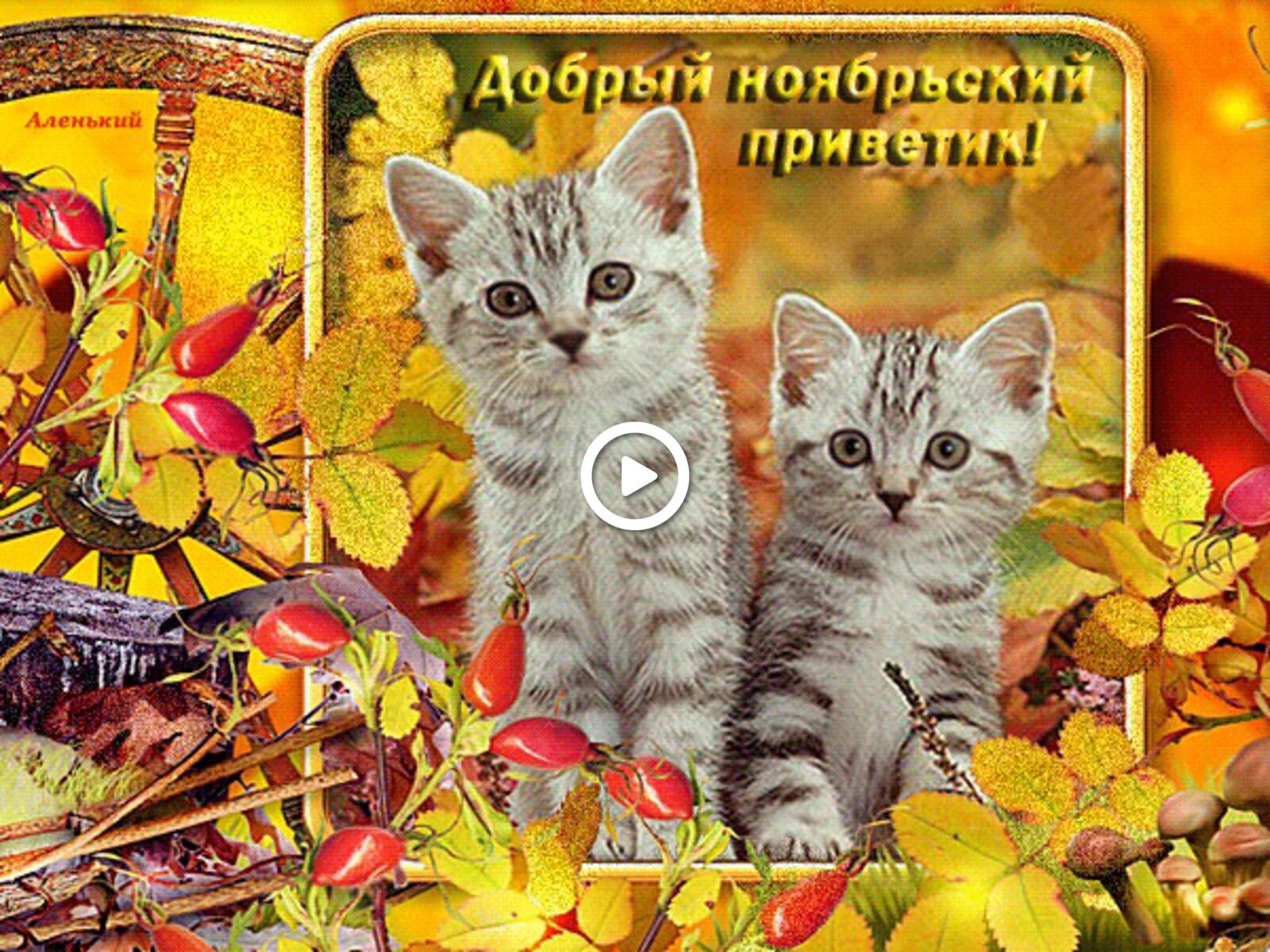 Открытка на тему добрый ноябрьский приветик листья осень бесплатно