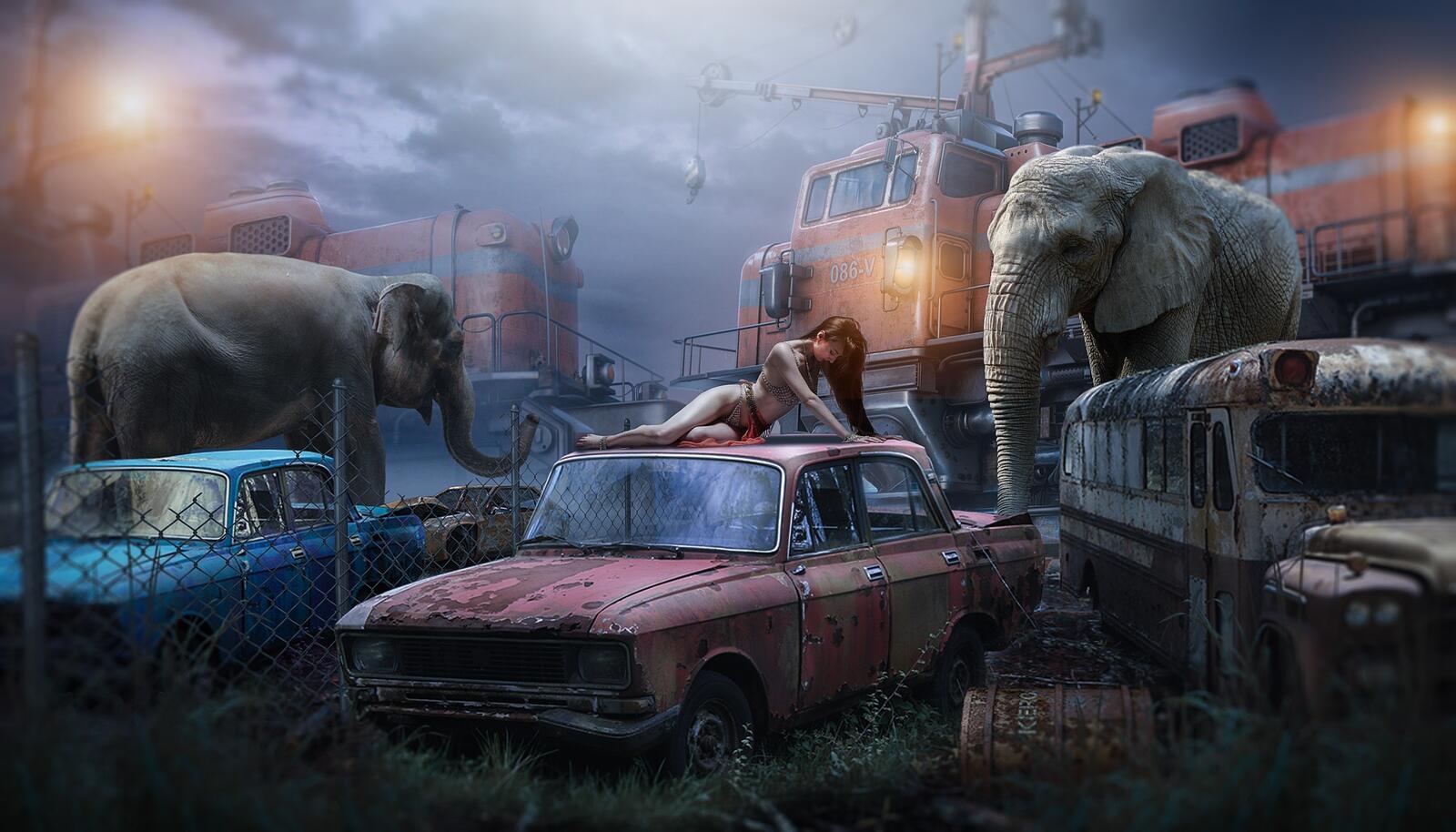 Машина слон. Слоны в машине. Слон в машине арт. Коллаж с слоном и машиной в корзине.