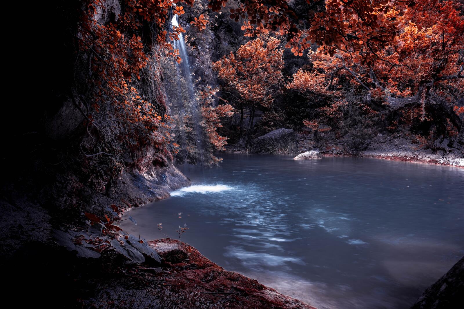 免费照片秋季老林中的瀑布