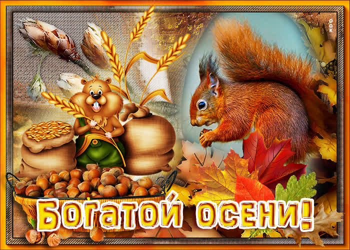 A postcard on the subject of a rich autumn squirrel nuts for free
