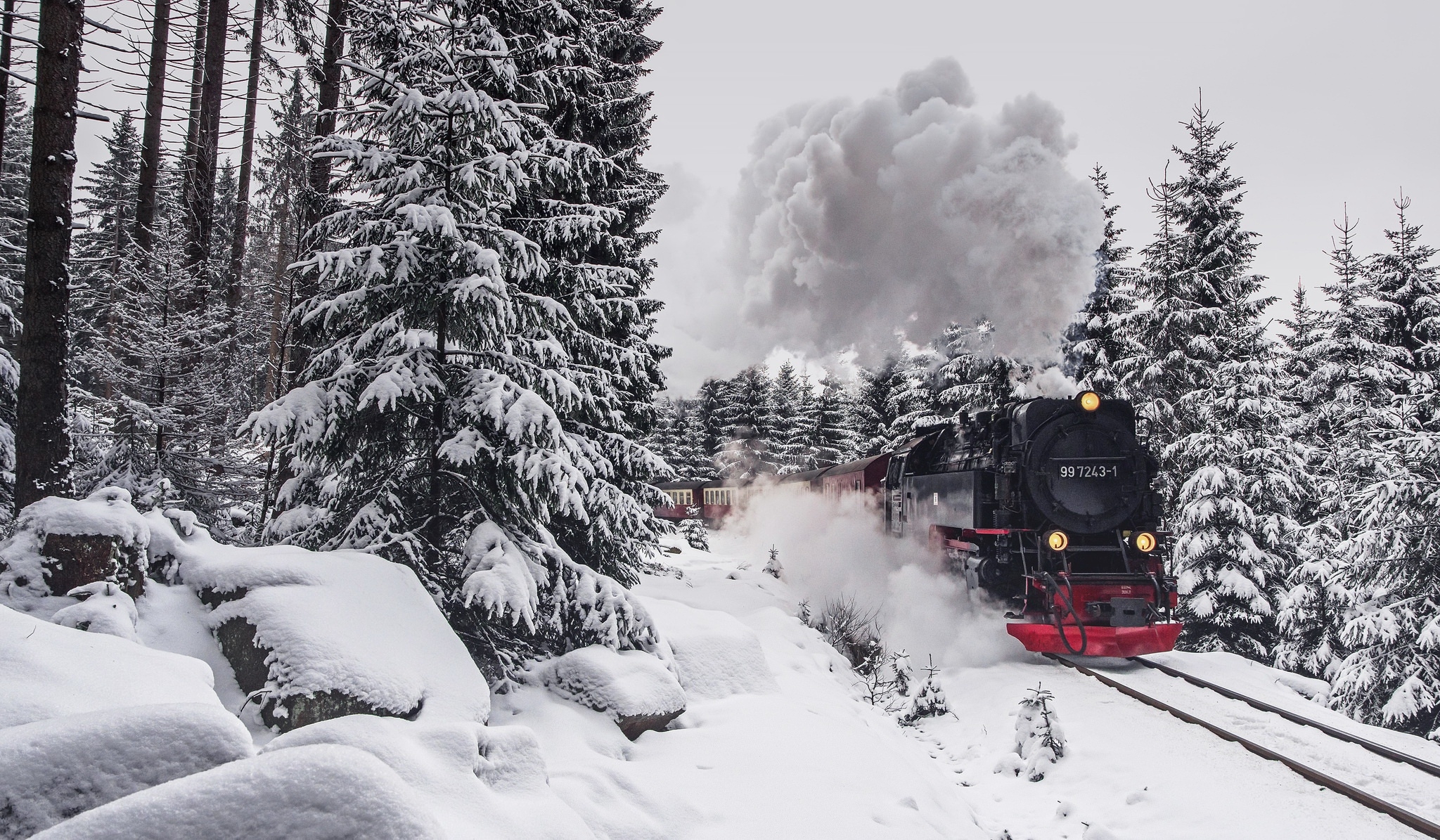 Photo free trees, winter forest, train