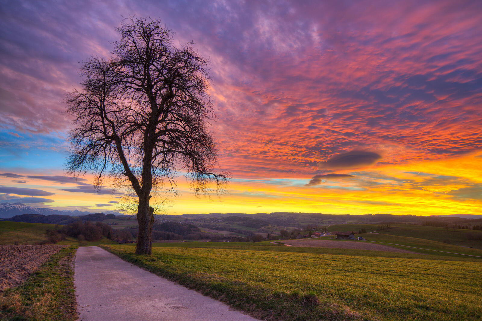 免费照片免费的夕阳，道路，田野 - 美丽的照片