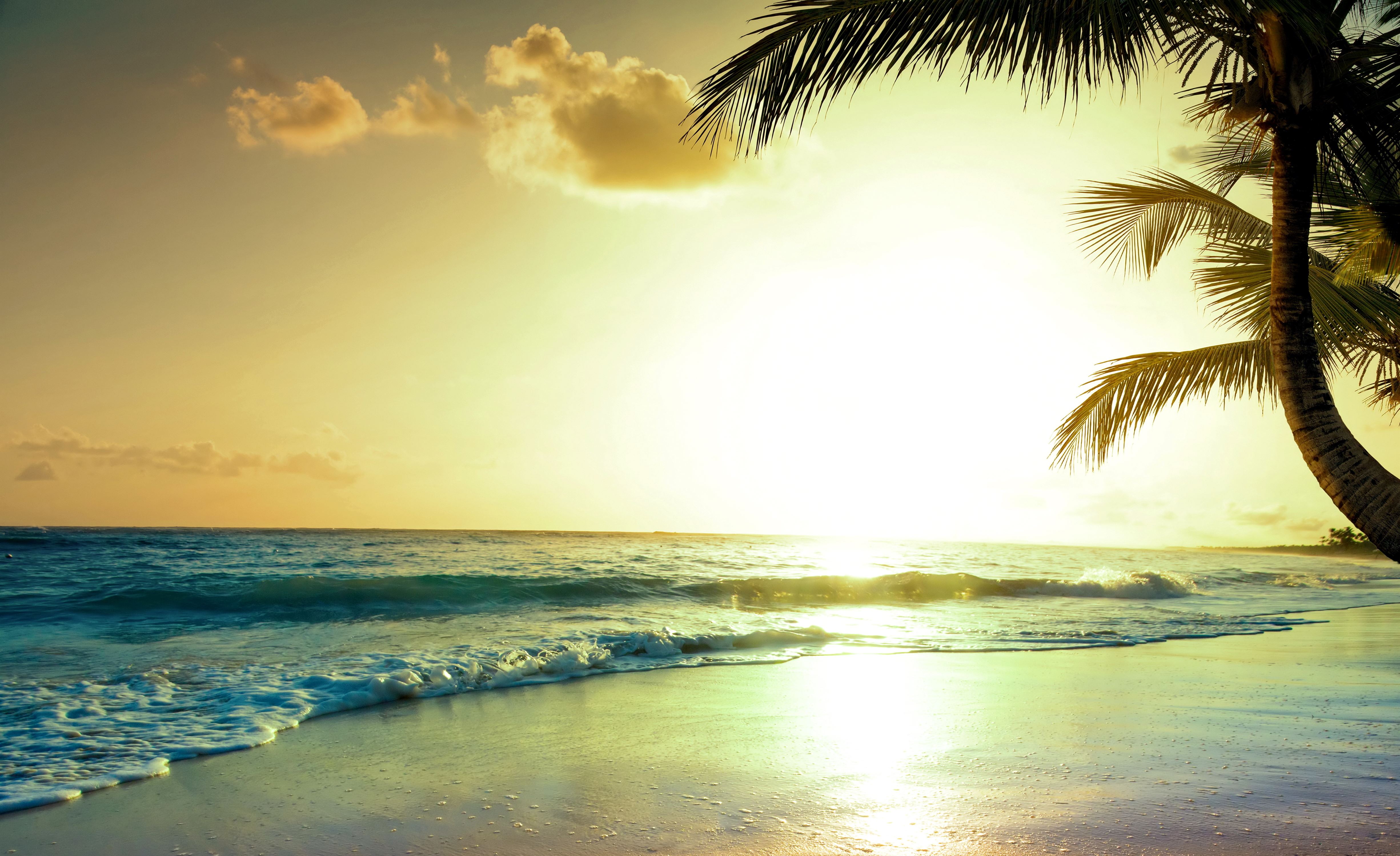 Paradise. Море солнце. Солнце пляж. Море солнце пляж. Тропический пляж.
