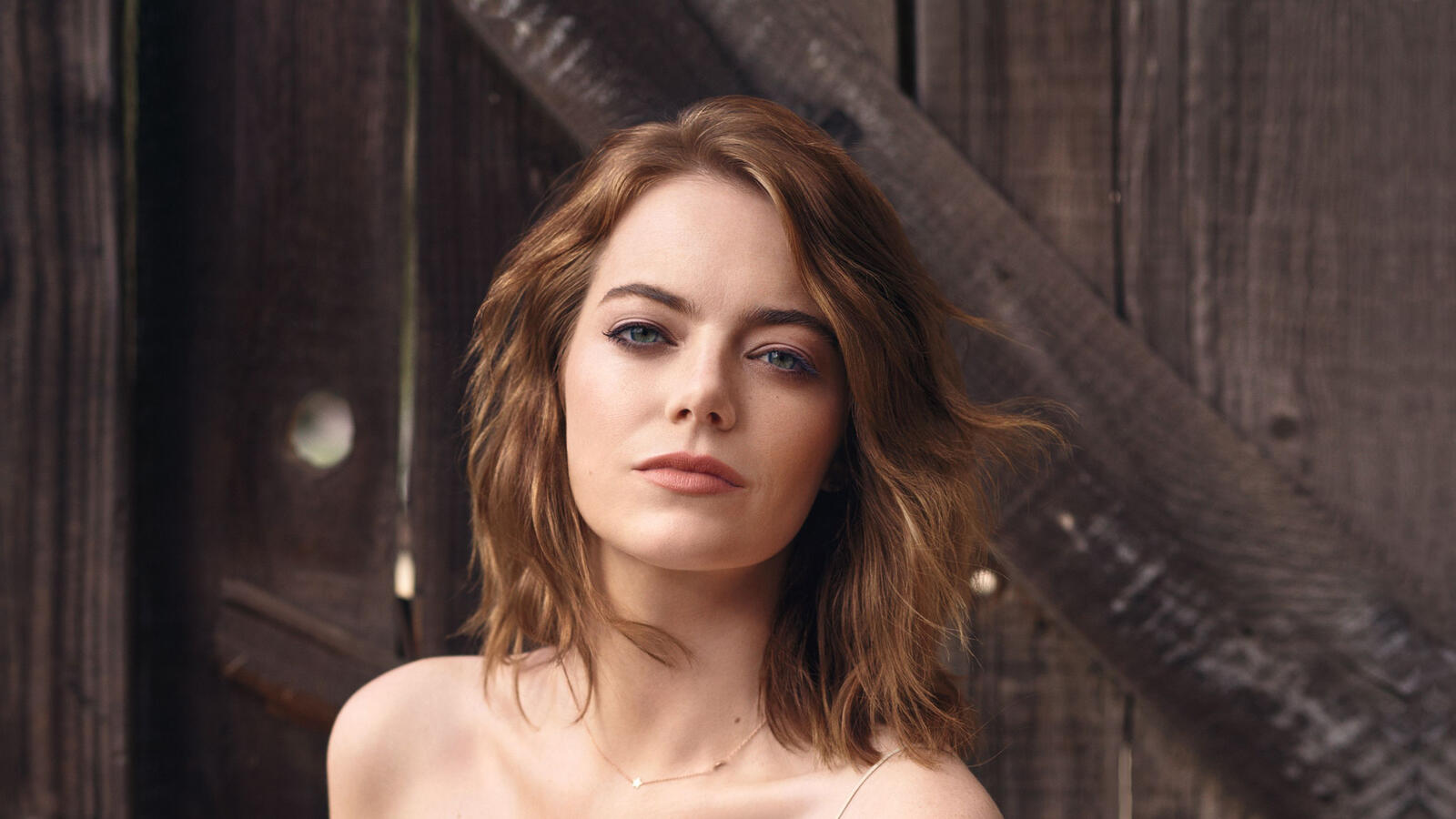 Wallpapers celebrity actress Emma Stone on the desktop