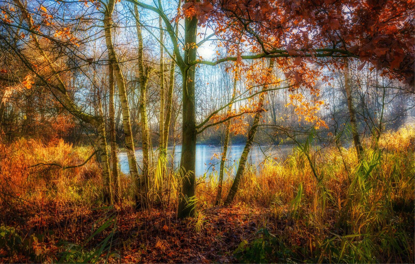 Wallpapers lake autumn leaves landscape on the desktop