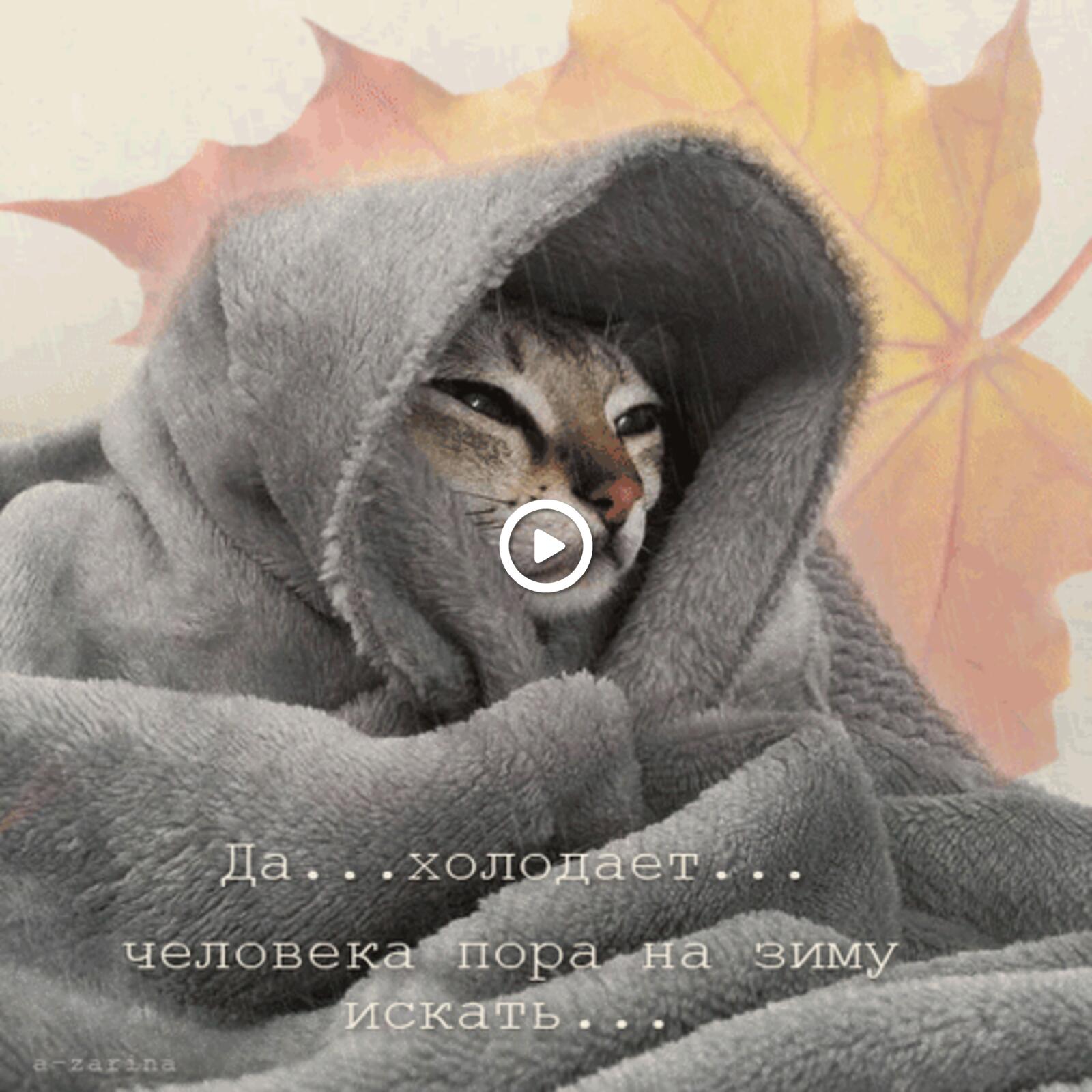 一张以寒冷的 秋叶 动画为主题的明信片