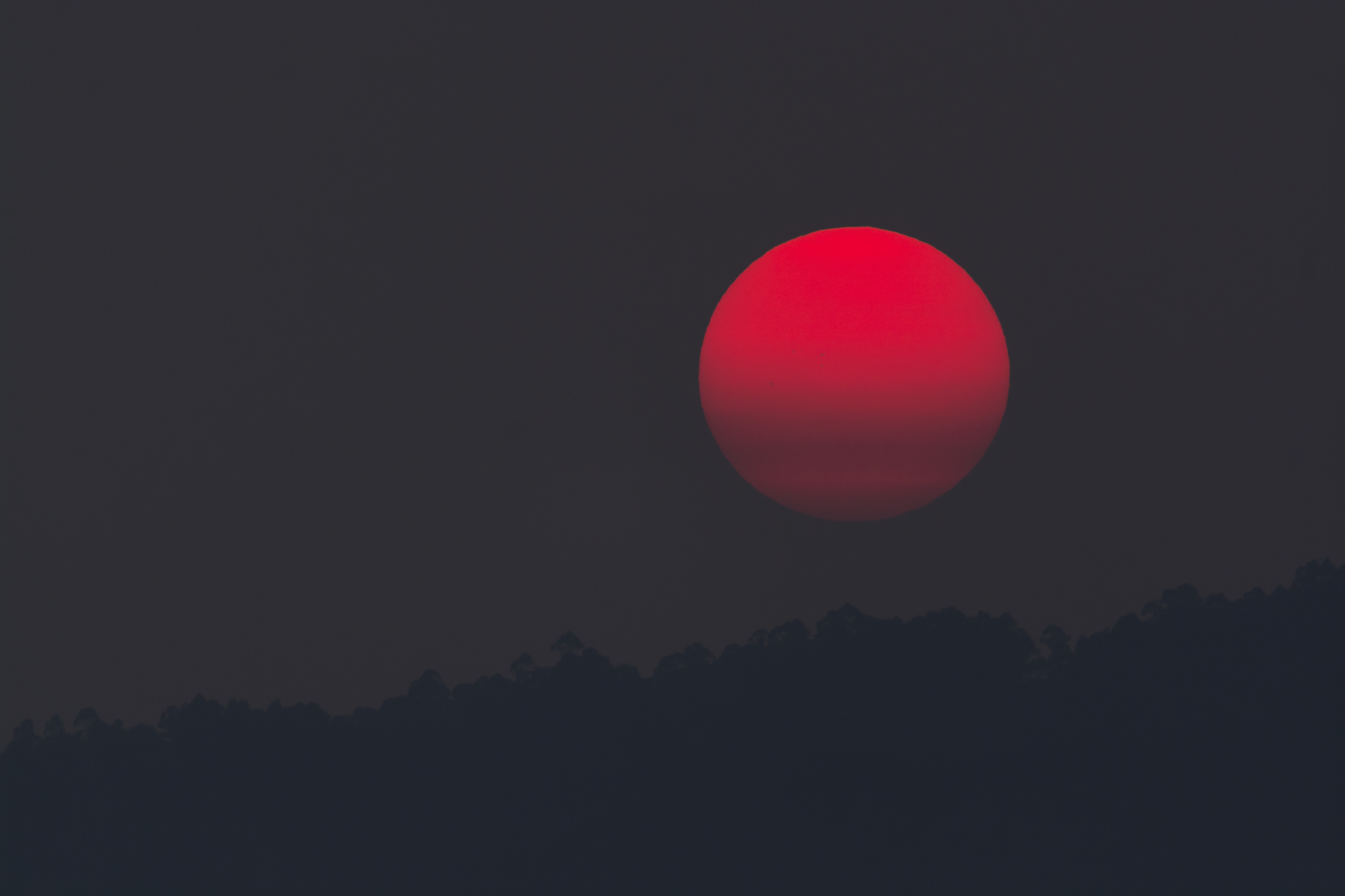 Янтарный закат Саванны · бесплатное фото