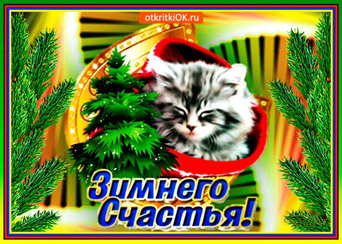 Postcard free winter happiness, request, kitten
