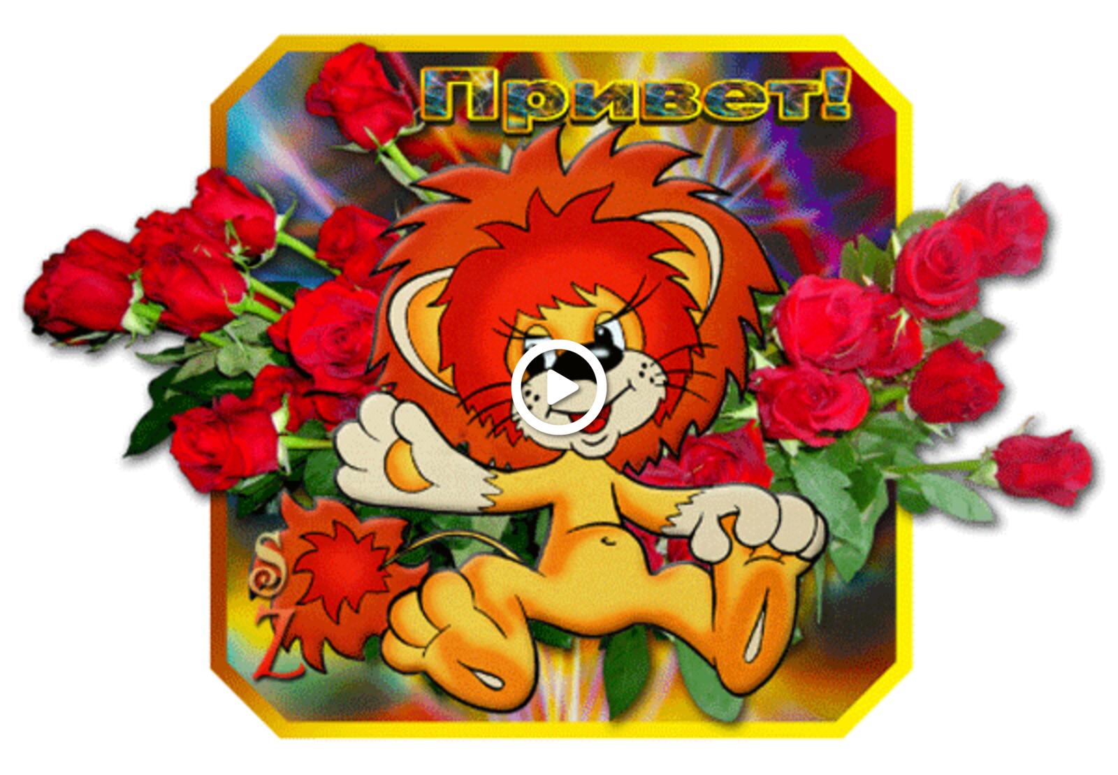A postcard on the subject of lion cub flowers flowers red roses for free
