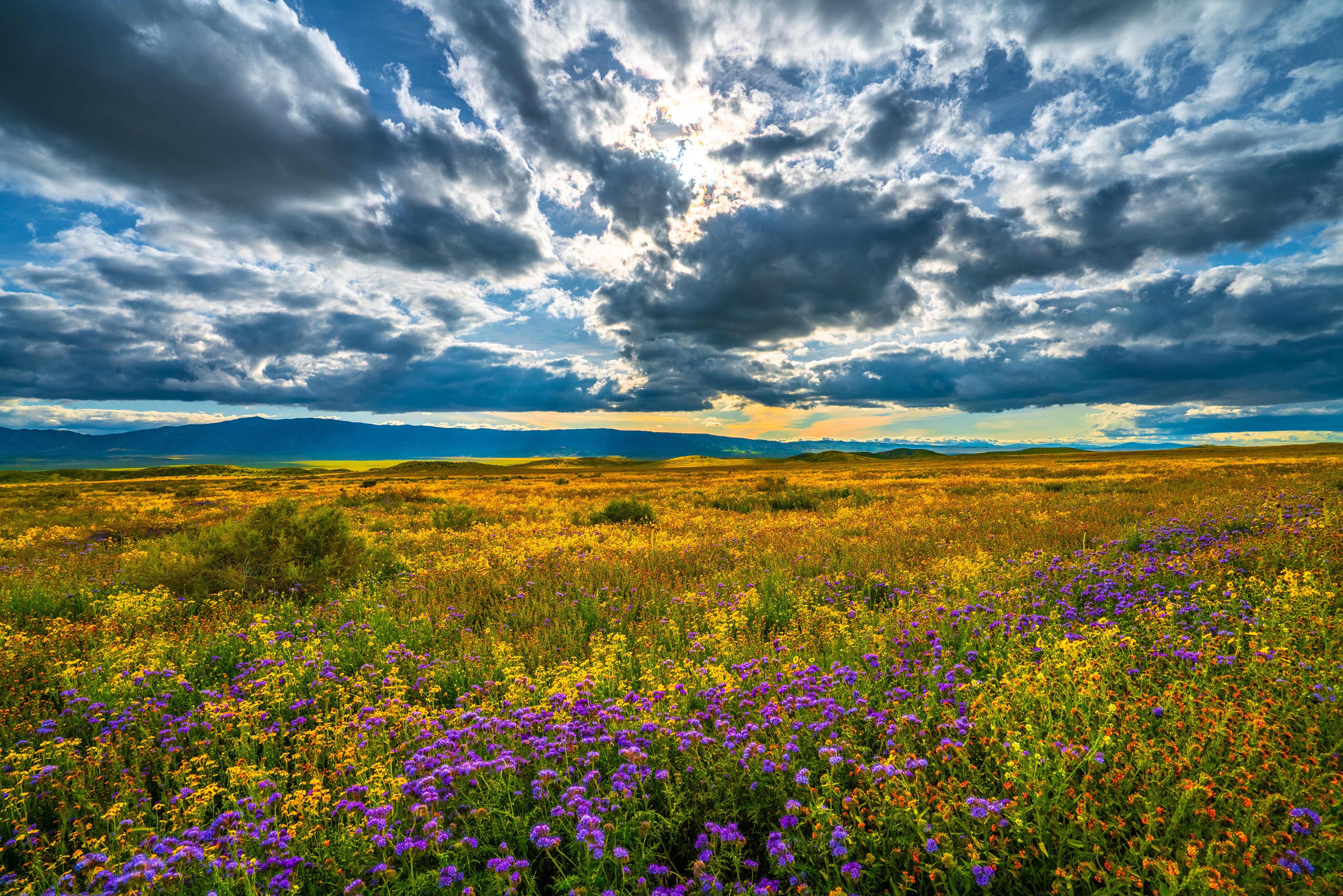 Wallpapers usa scenery landscapes sky clouds on the desktop