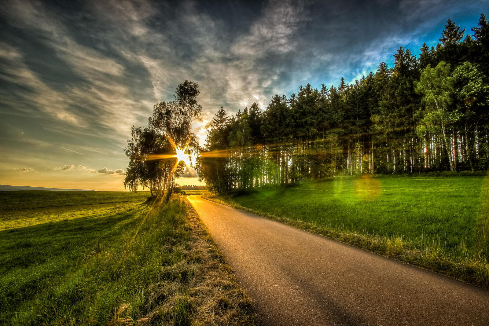 Wallpapers sunny weather landscapes trees on the desktop