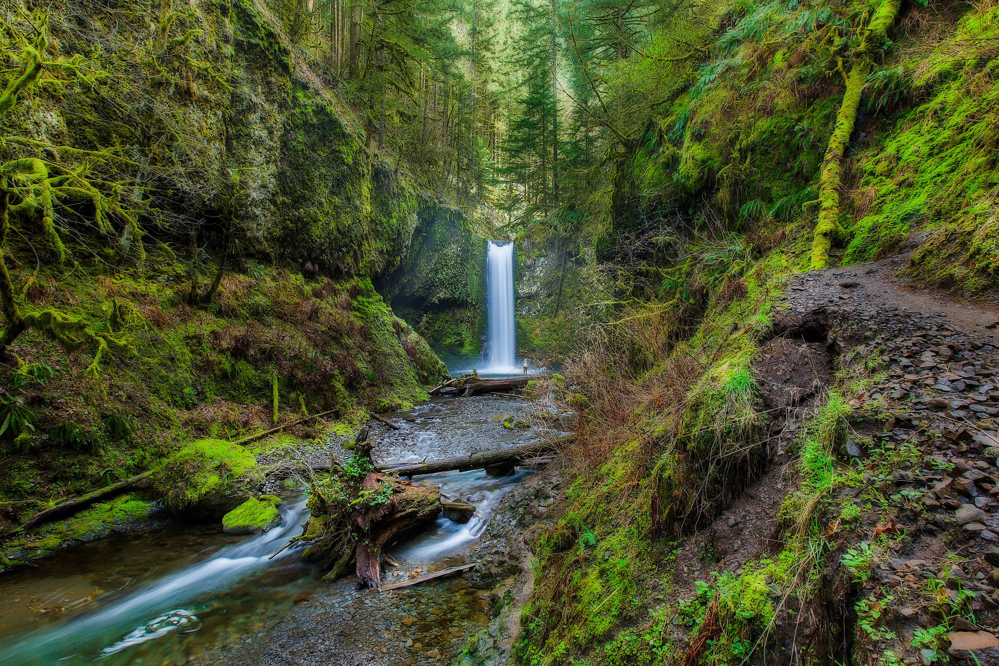 Wallpapers Wiesendanger Falls Columbia River Gorge 55-foot waterfall on the larch mountain path in the Columbia River Gorge on the desktop