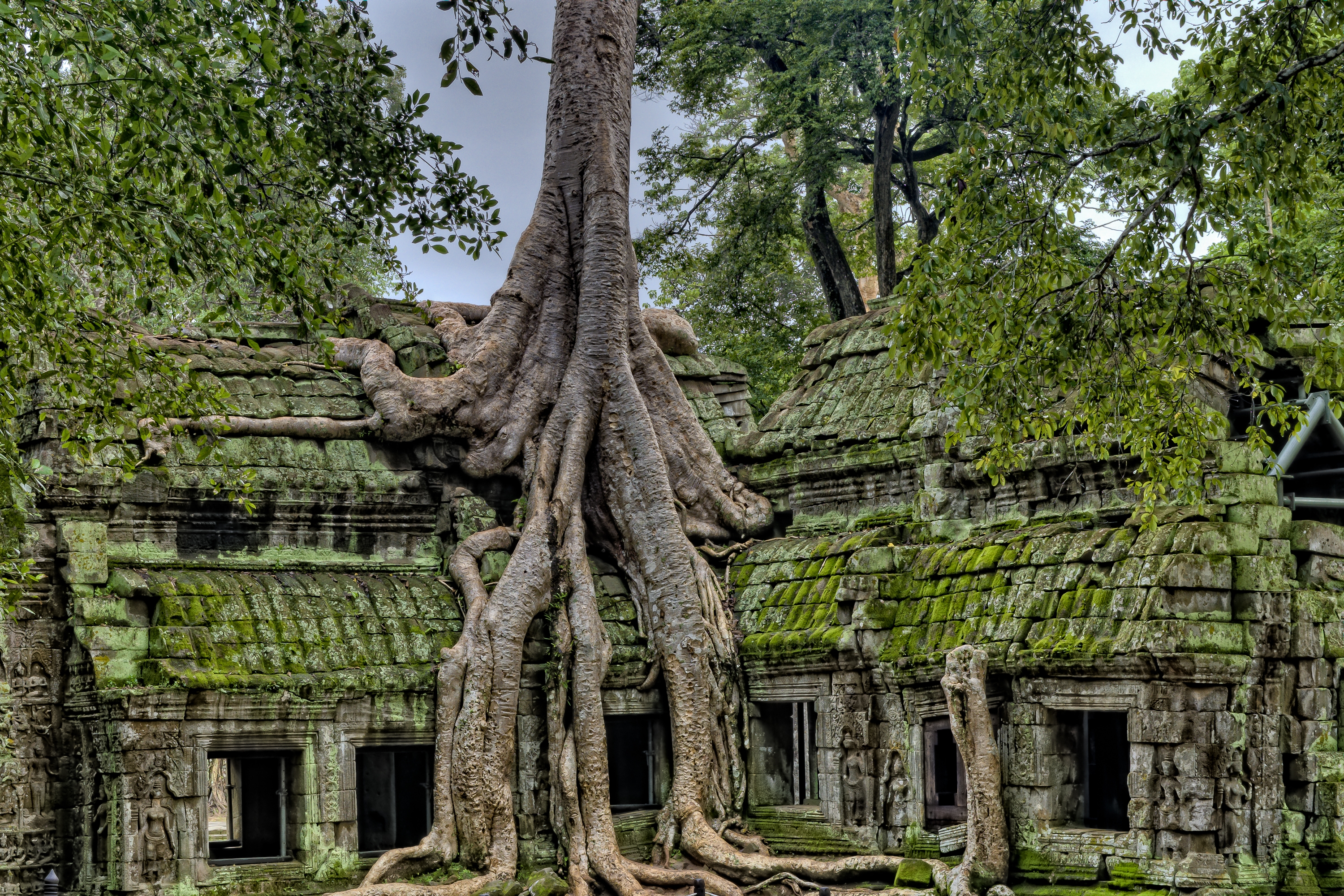 Фото бесплатно руины, древних, обои старое дерево