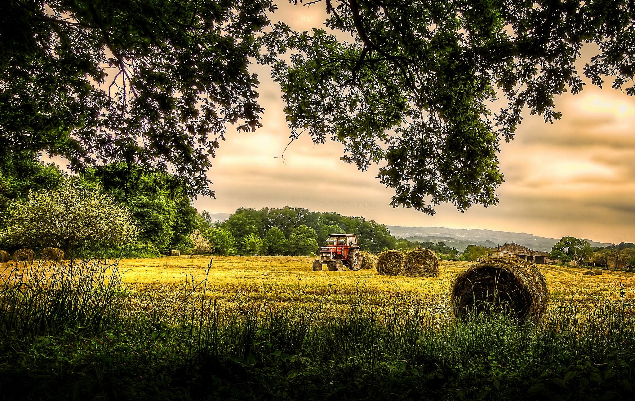 Трактор поле картинки. Сельское хозяйство юмз6поле. Пейзаж с трактором. Трактор в поле. Сельское хозяйство пейзаж.