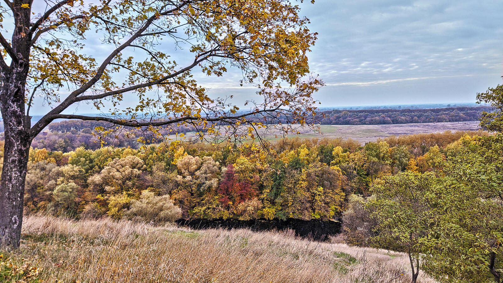 Бесплатное фото Осень на холме
