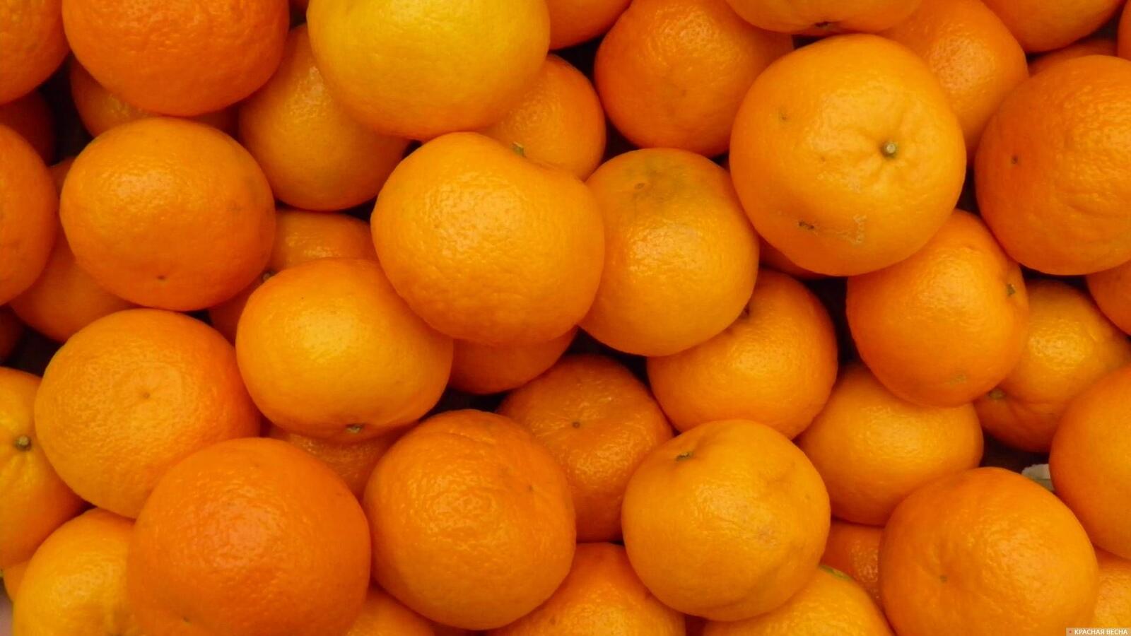 Обои цитрусовые фрукты много мандаринов на рабочий стол