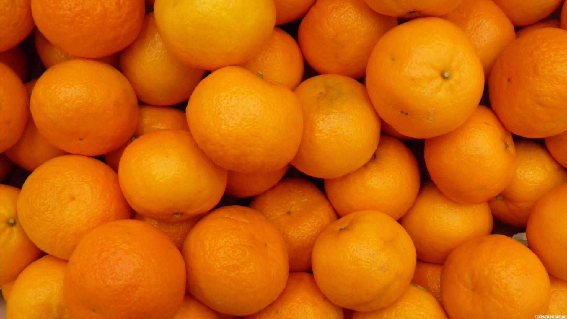 Фото бесплатно цитрусовые, фрукты, много мандаринов
