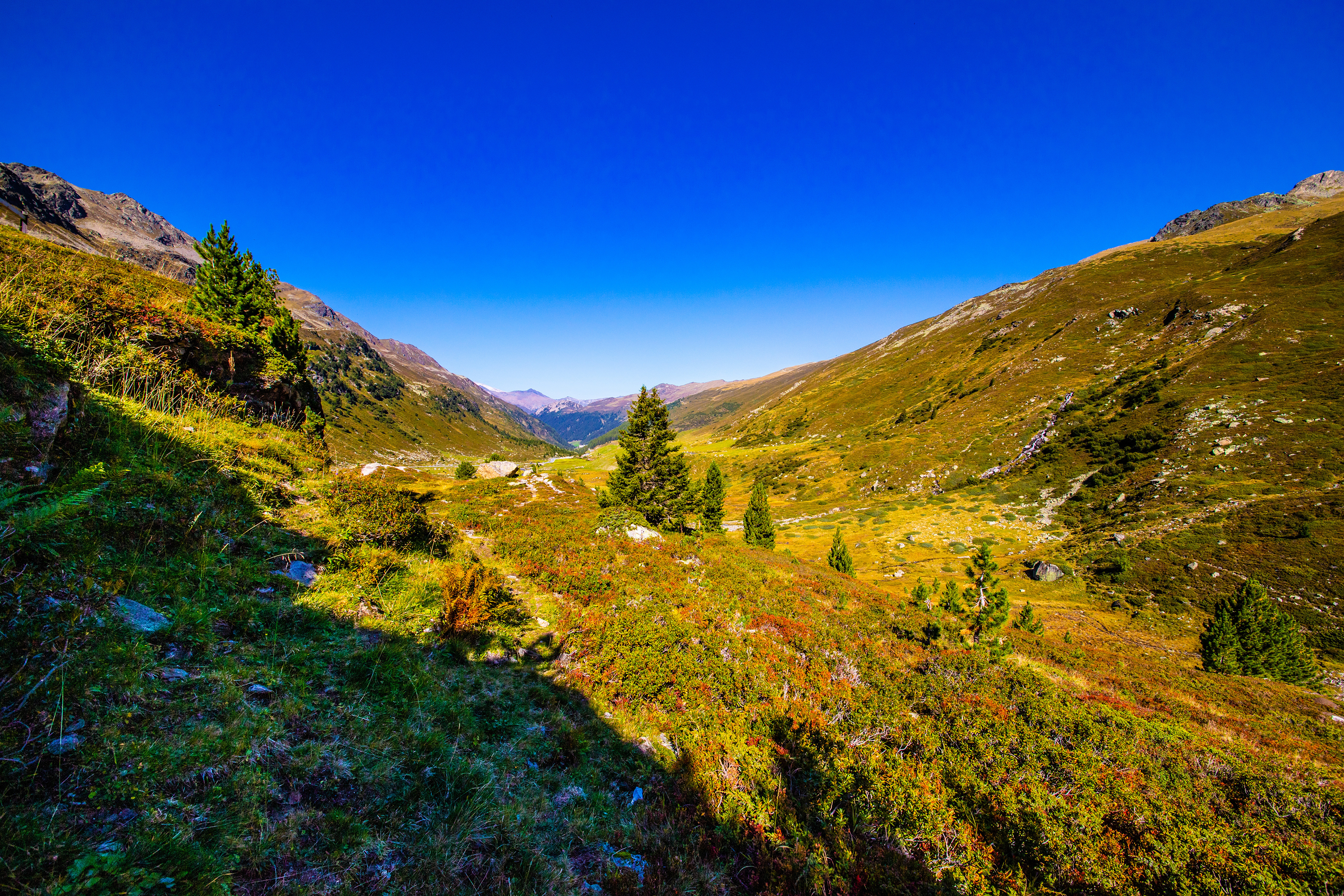 Фото Альпы природа луг - бесплатные картинки на Fonwall