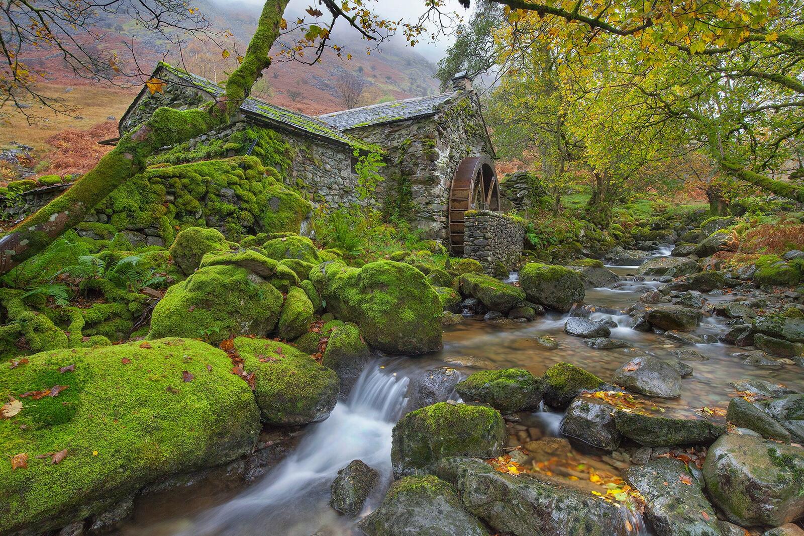 Wallpapers Old Mill Cottage on Cumbstone Gill Borrowdale Cumbria on the desktop
