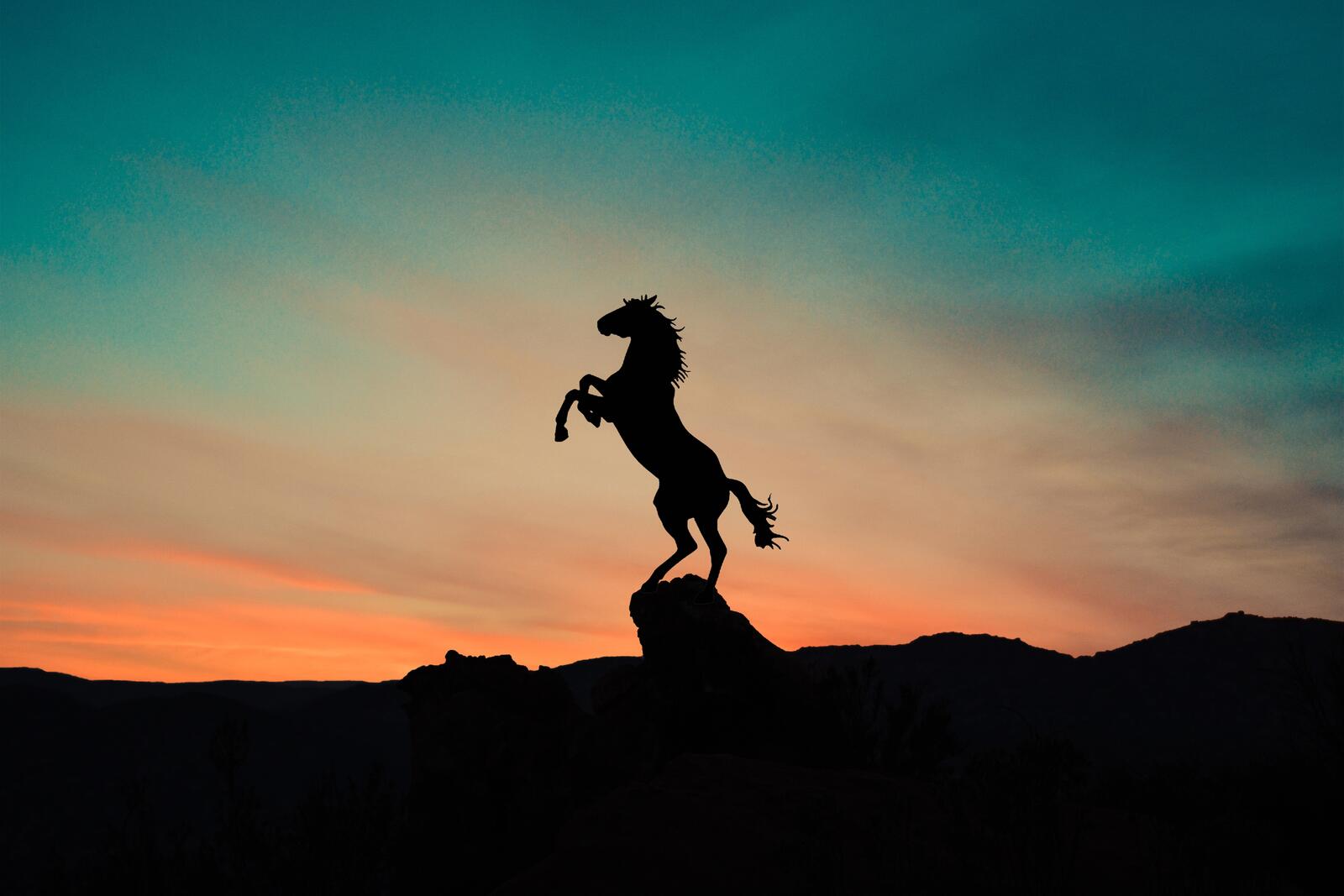 Wallpapers sunset silhouette horse on the desktop
