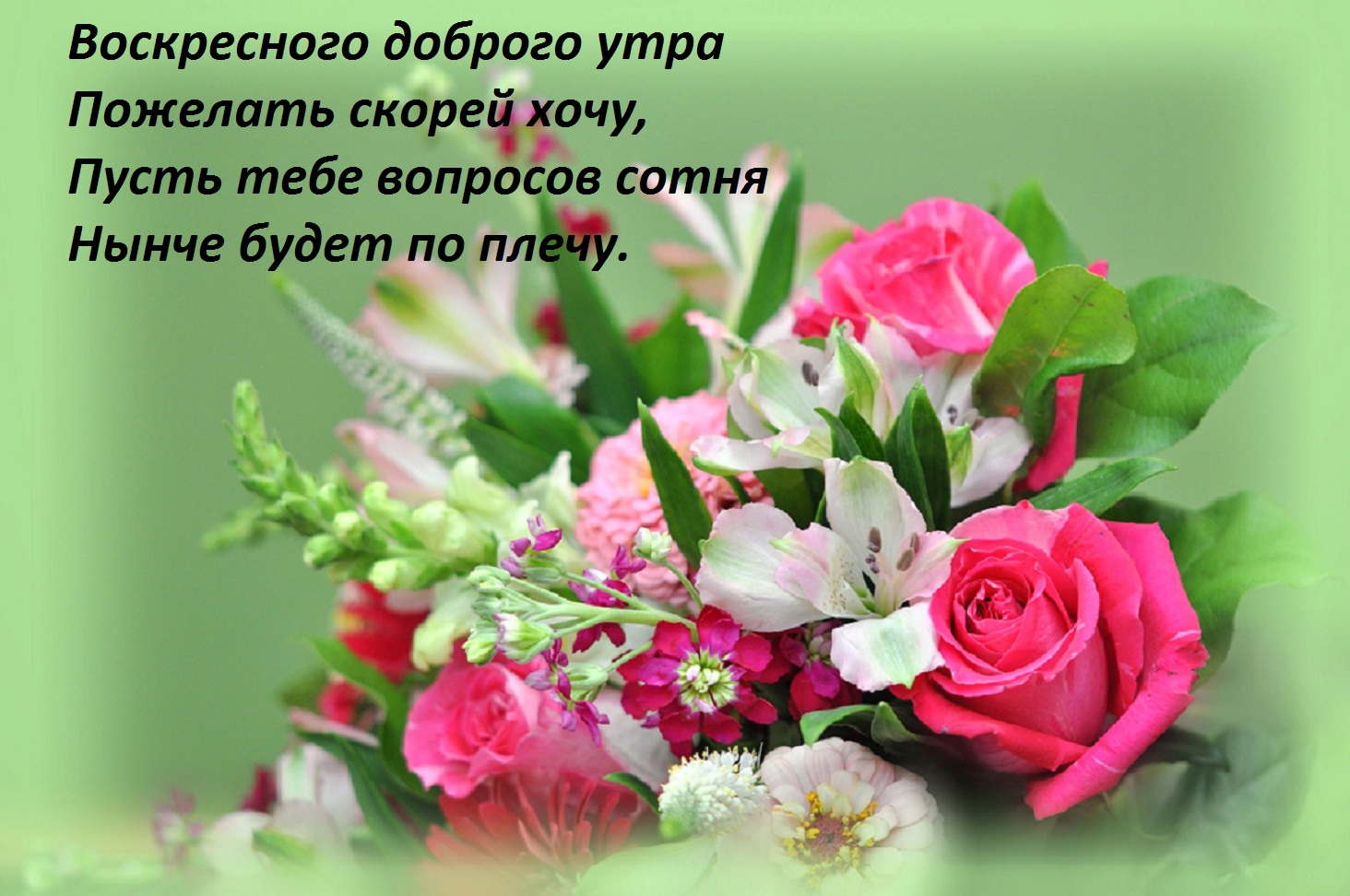 Фото бесплатно букет цветов, стих, воскресного доброго утра пожелать скорей хочу