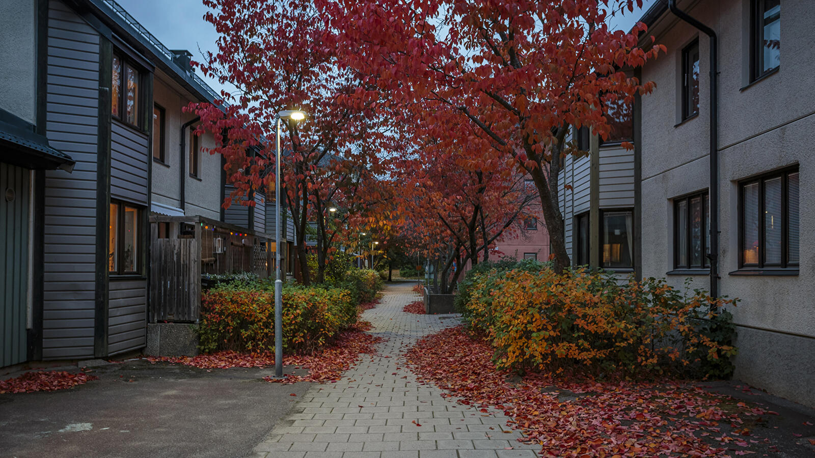 Обои осень опавшие листья город на рабочий стол