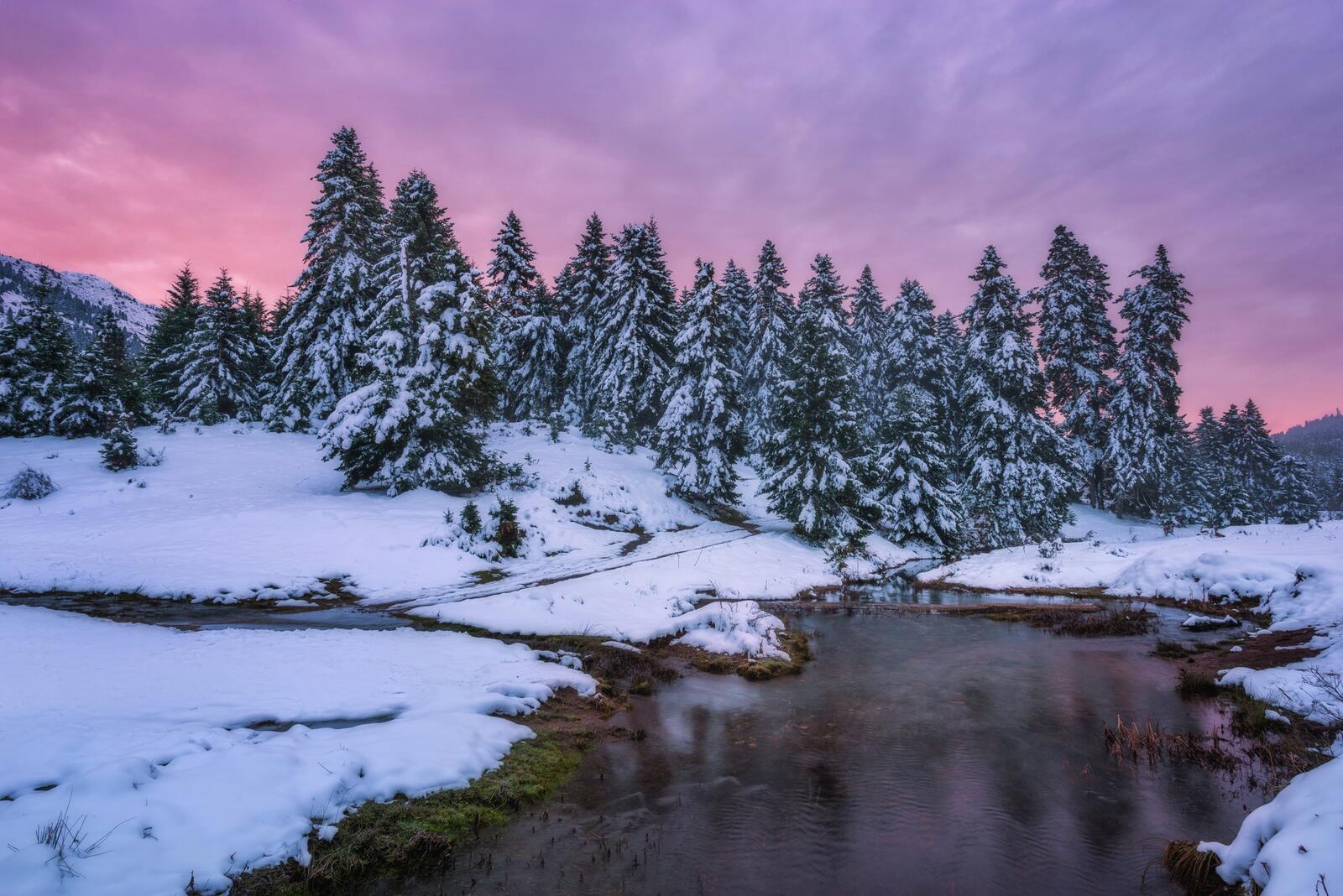 Бесплатное фото Скачать фотографию закат, зима