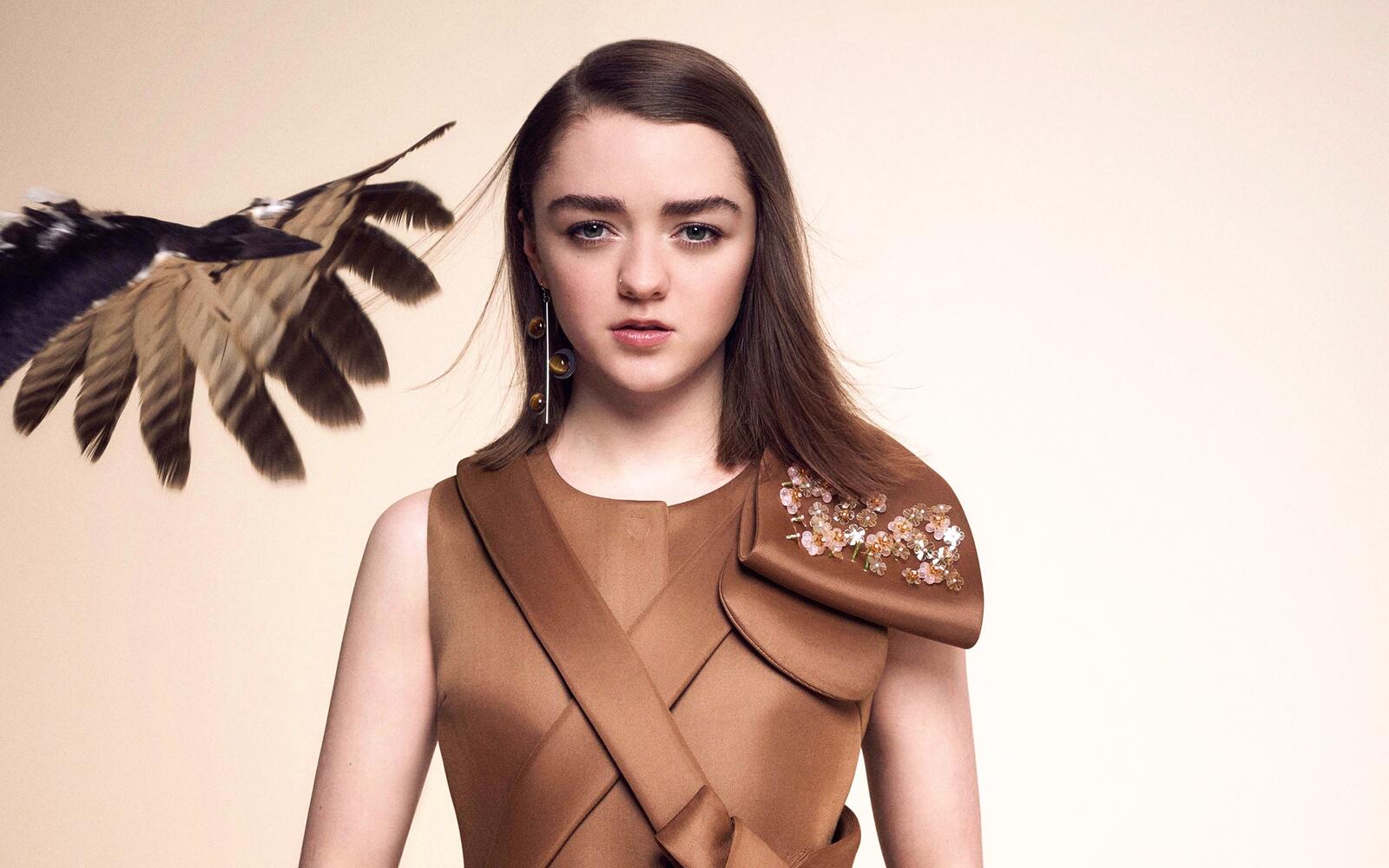 Wallpapers face celebrities maisie williams on the desktop