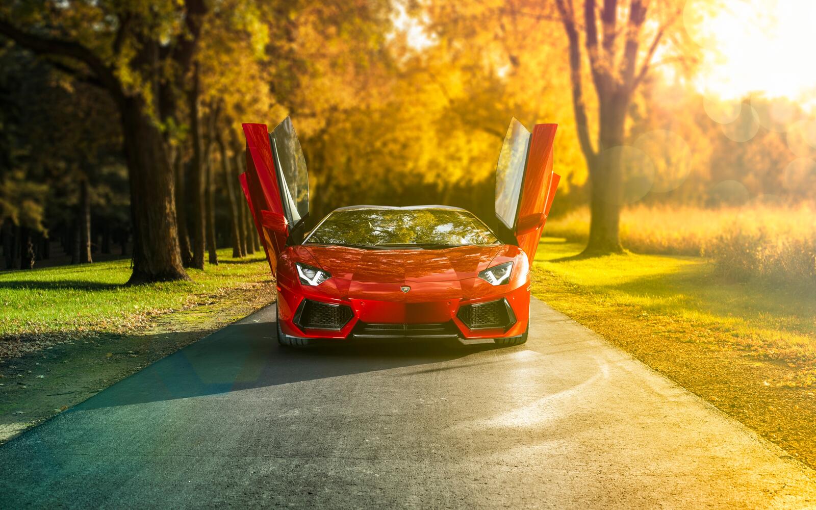 Wallpapers Lamborghini Aventador red front view on the desktop