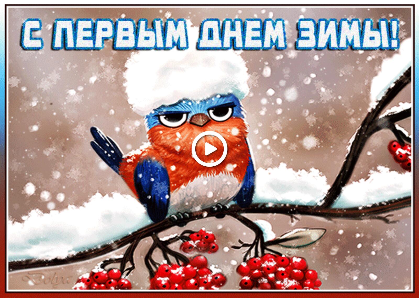 一张以立冬快乐 12月1日是冬季的第一天 冬季为主题的明信片
