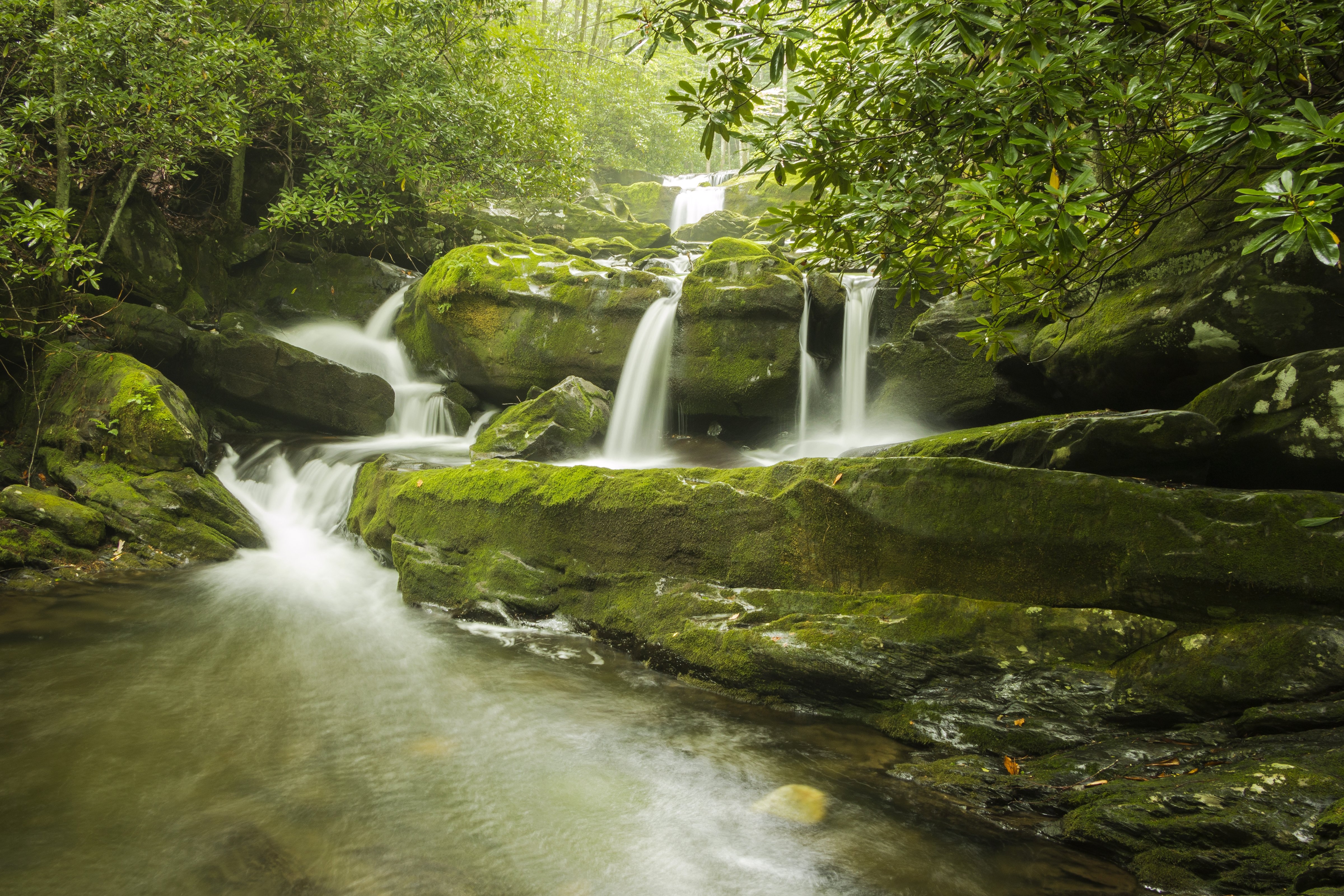 Коста Рика лес водопад вдали