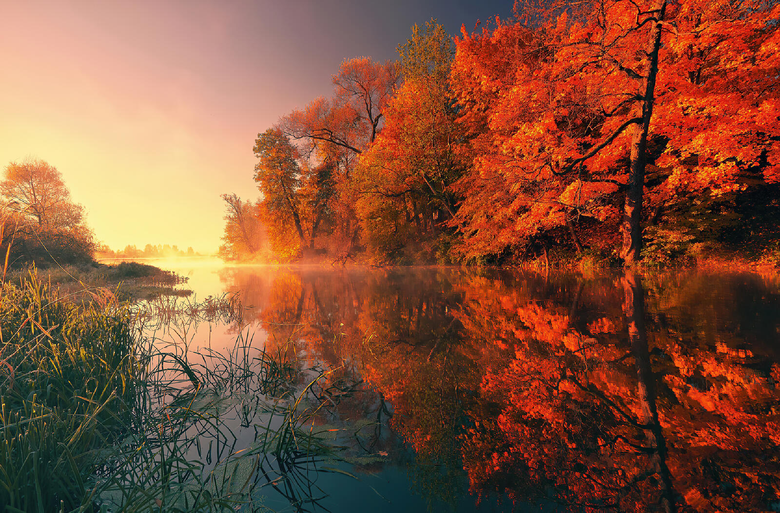 Wallpapers autumn foliage river bank on the desktop