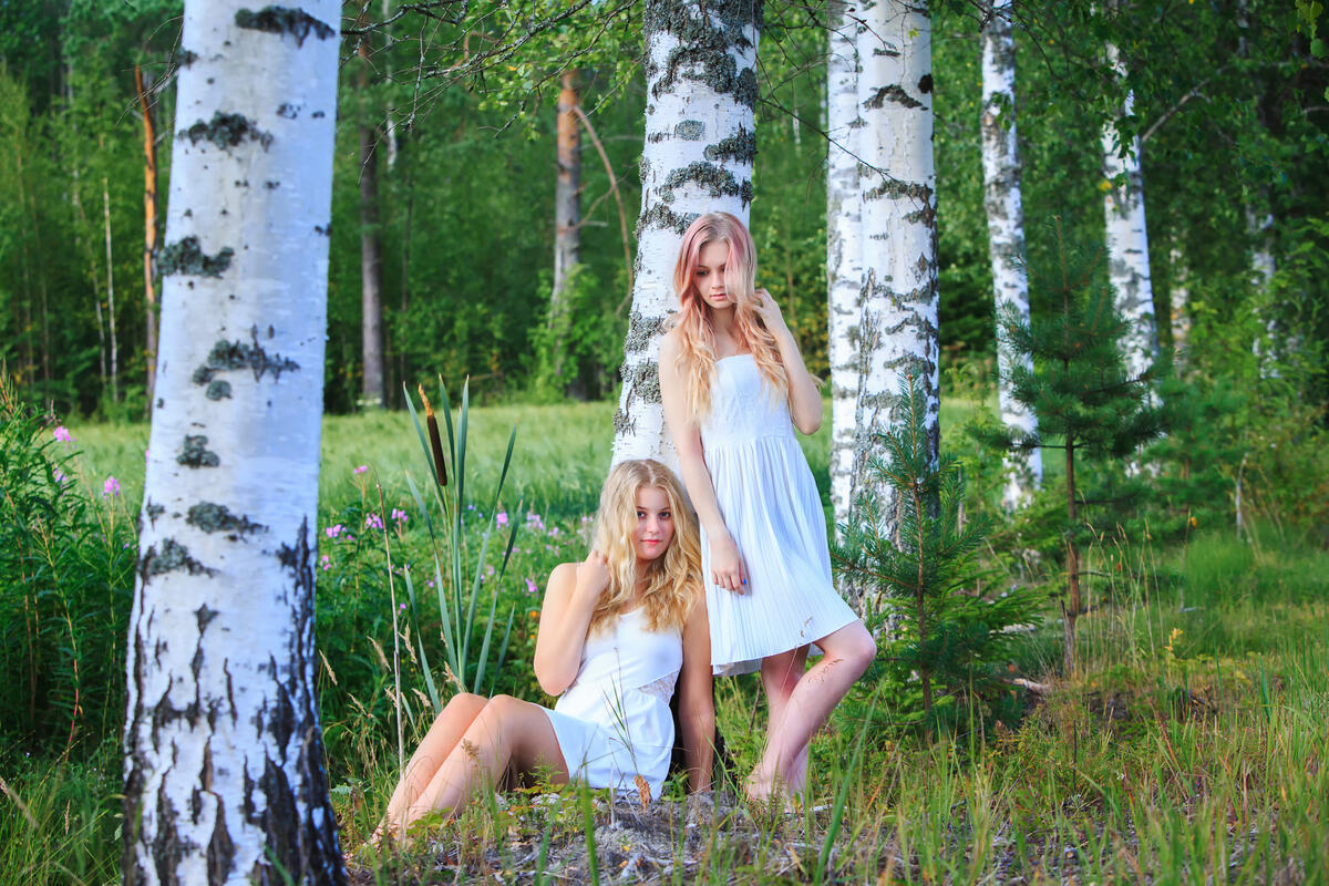 Girls in the birch grove