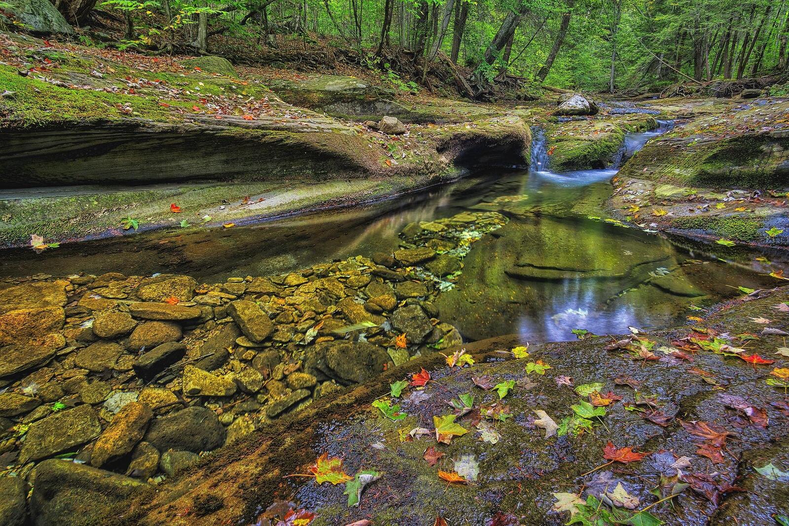Wallpapers forest rocks Pennsylvania on the desktop