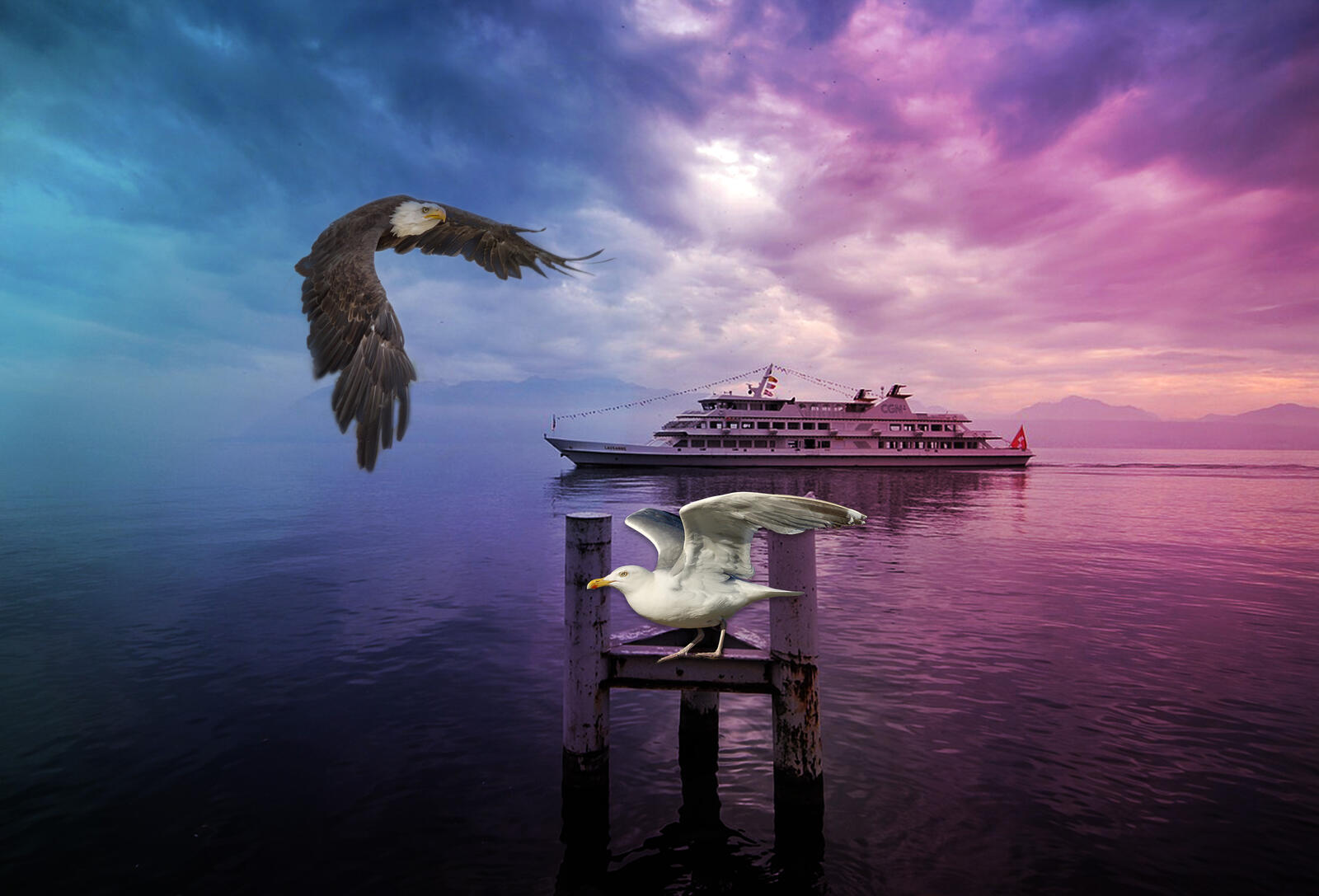 Wallpapers river ship seagull on the desktop