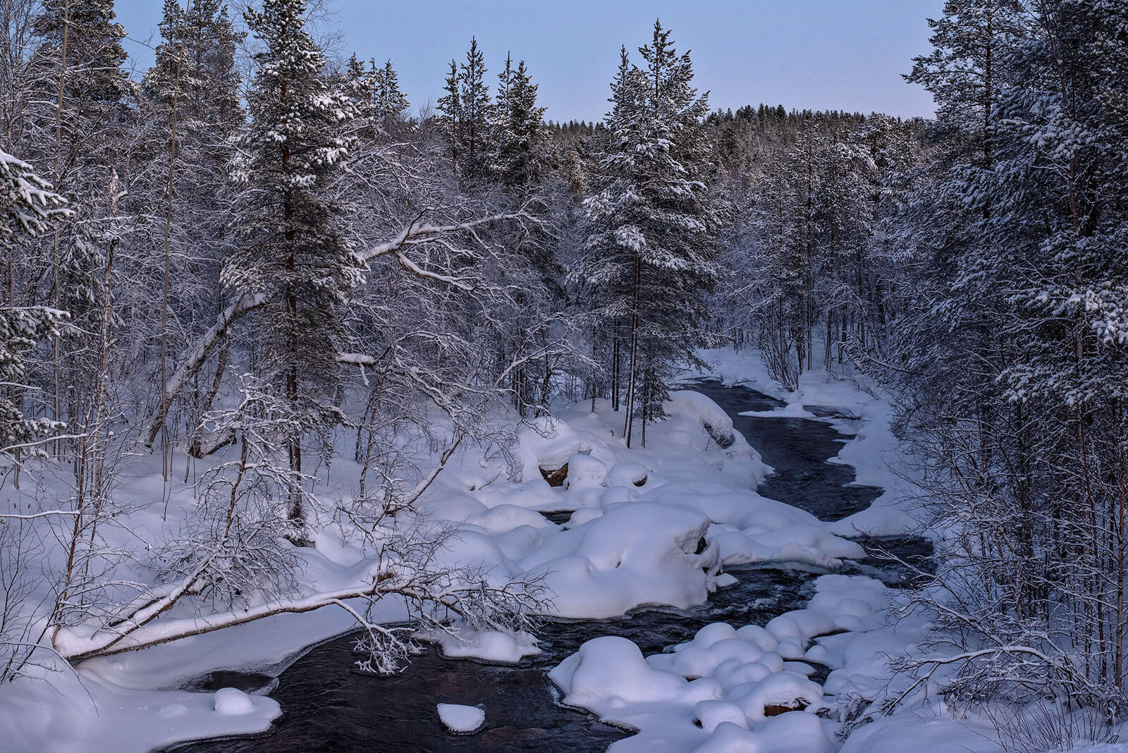 Обои Lapland зима лес на рабочий стол